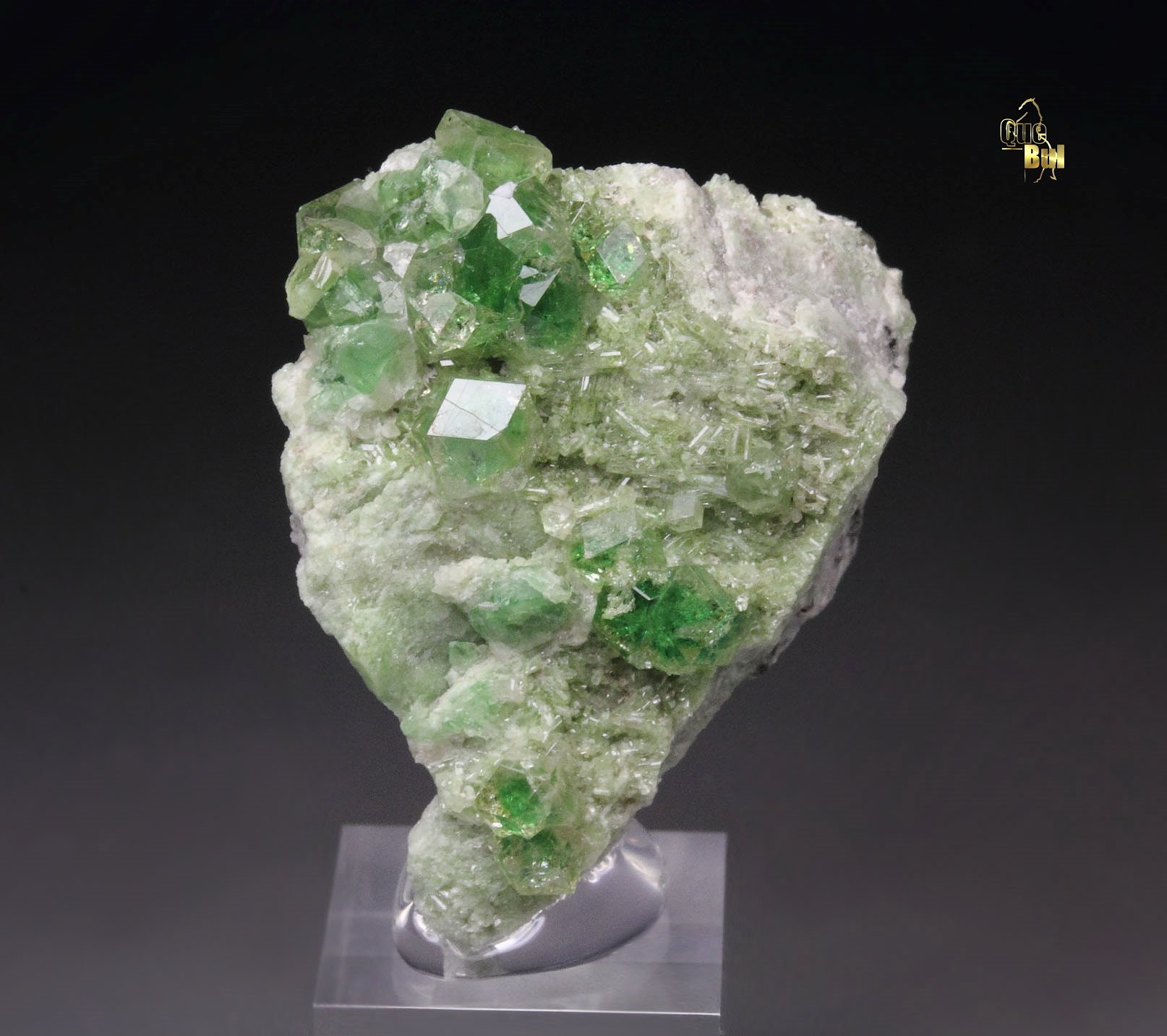 gem GARNET var. GROSSULAR with GREEN CHROMIAN PHANTOMS, DIOPSIDE