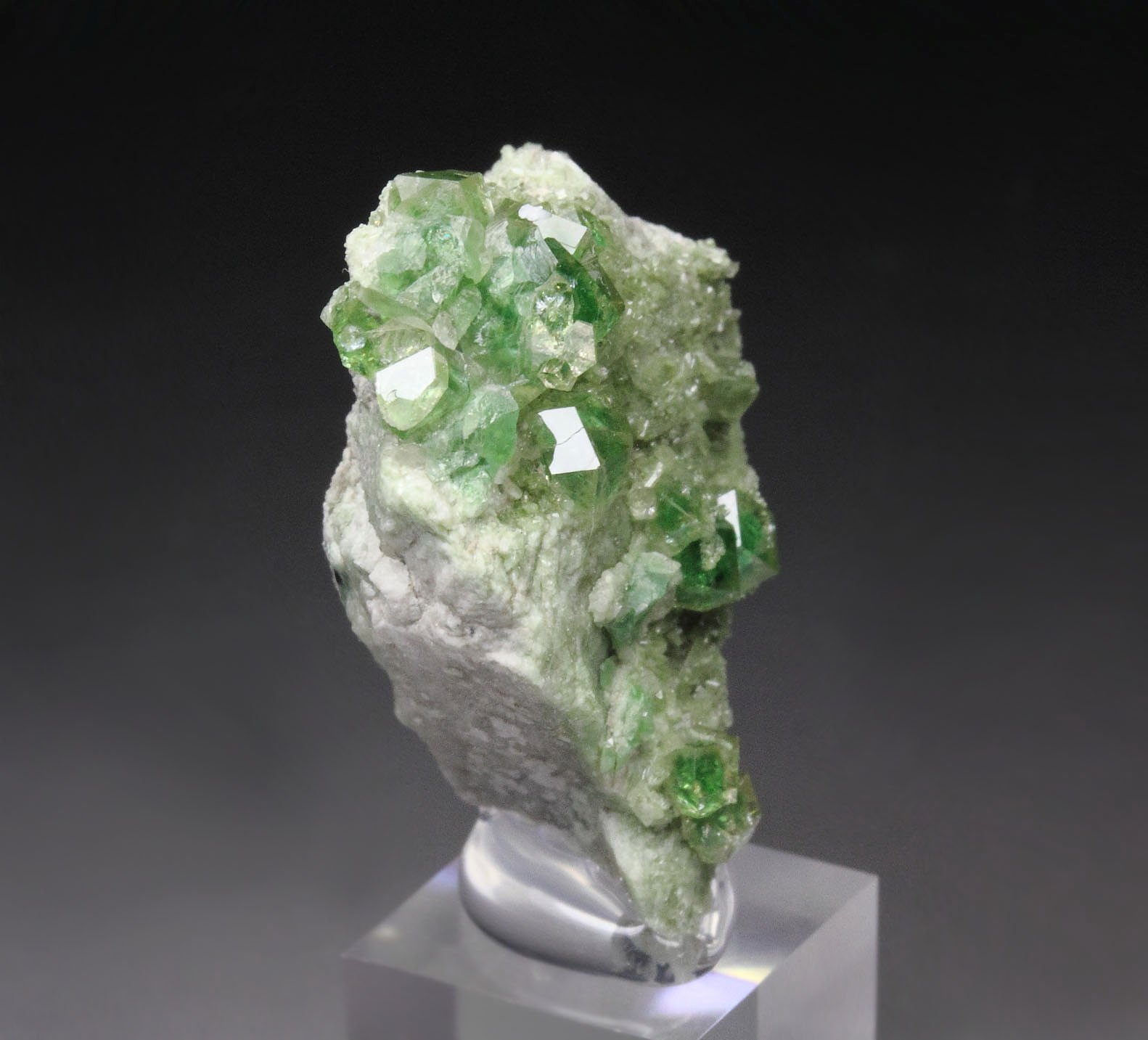 gem GARNET var. GROSSULAR with GREEN CHROMIAN PHANTOMS, DIOPSIDE