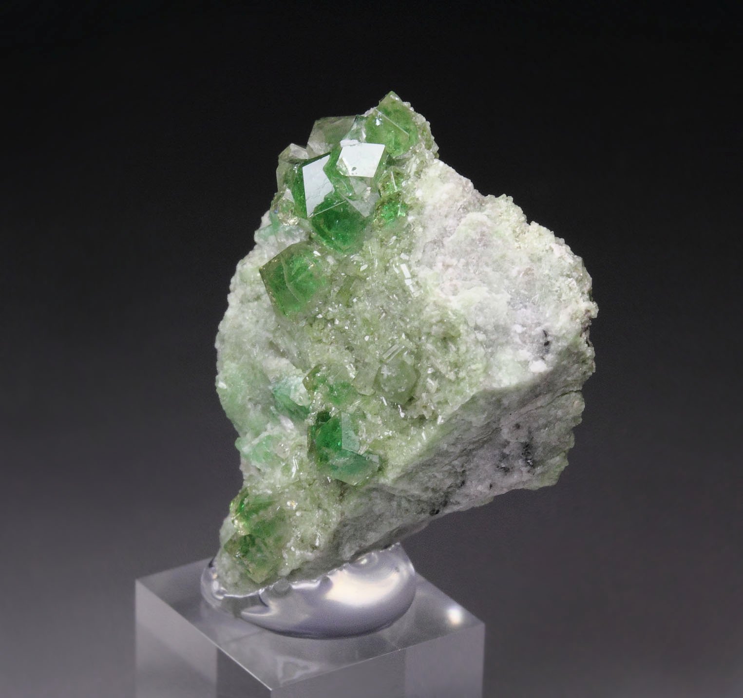 gem GARNET var. GROSSULAR with GREEN CHROMIAN PHANTOMS, DIOPSIDE