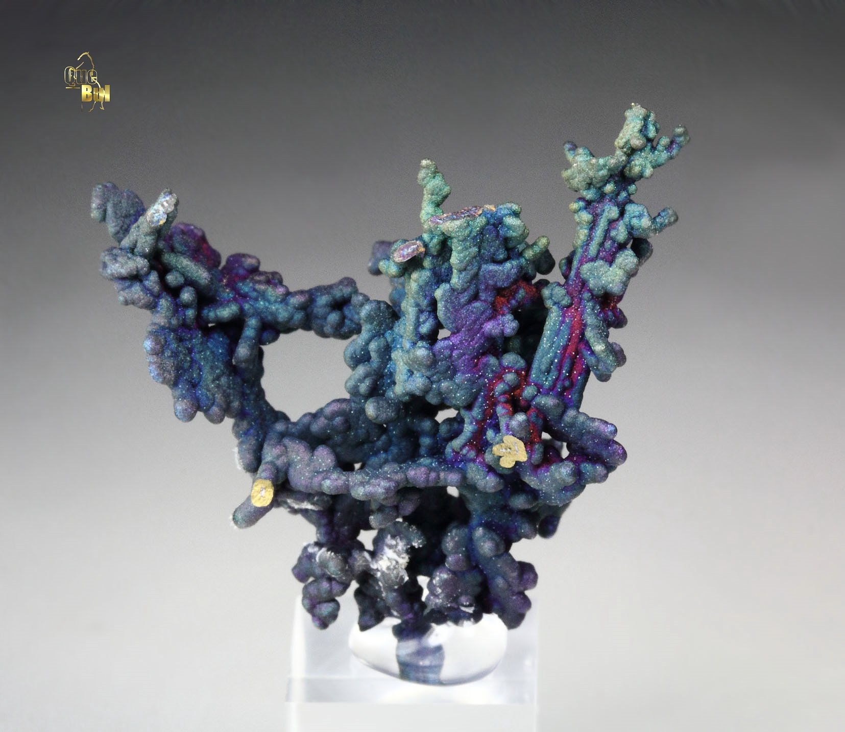 CHALCOCITE, DJURLEITE, iridescent CHALCOPYRITE