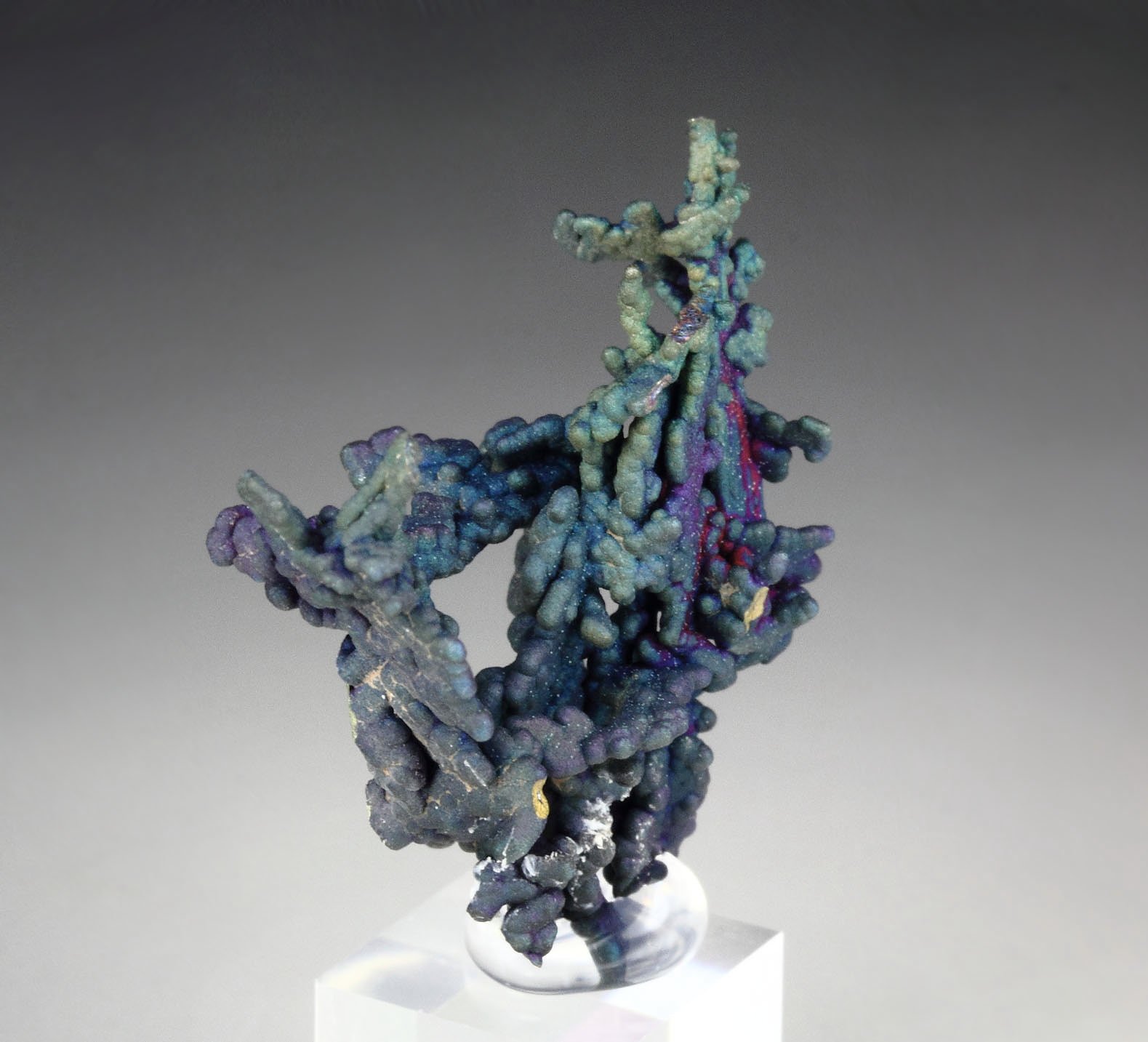 CHALCOCITE, DJURLEITE, iridescent CHALCOPYRITE