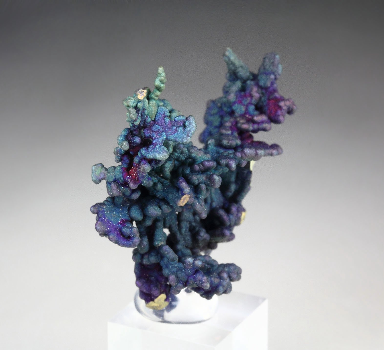 CHALCOCITE, DJURLEITE, iridescent CHALCOPYRITE