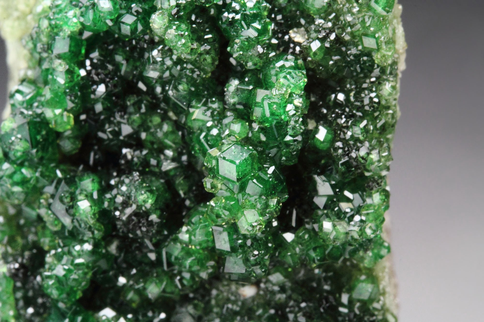 gem GARNET var. GROSSULAR var. CHROMIAN, DIOPSIDE, CHROMITE