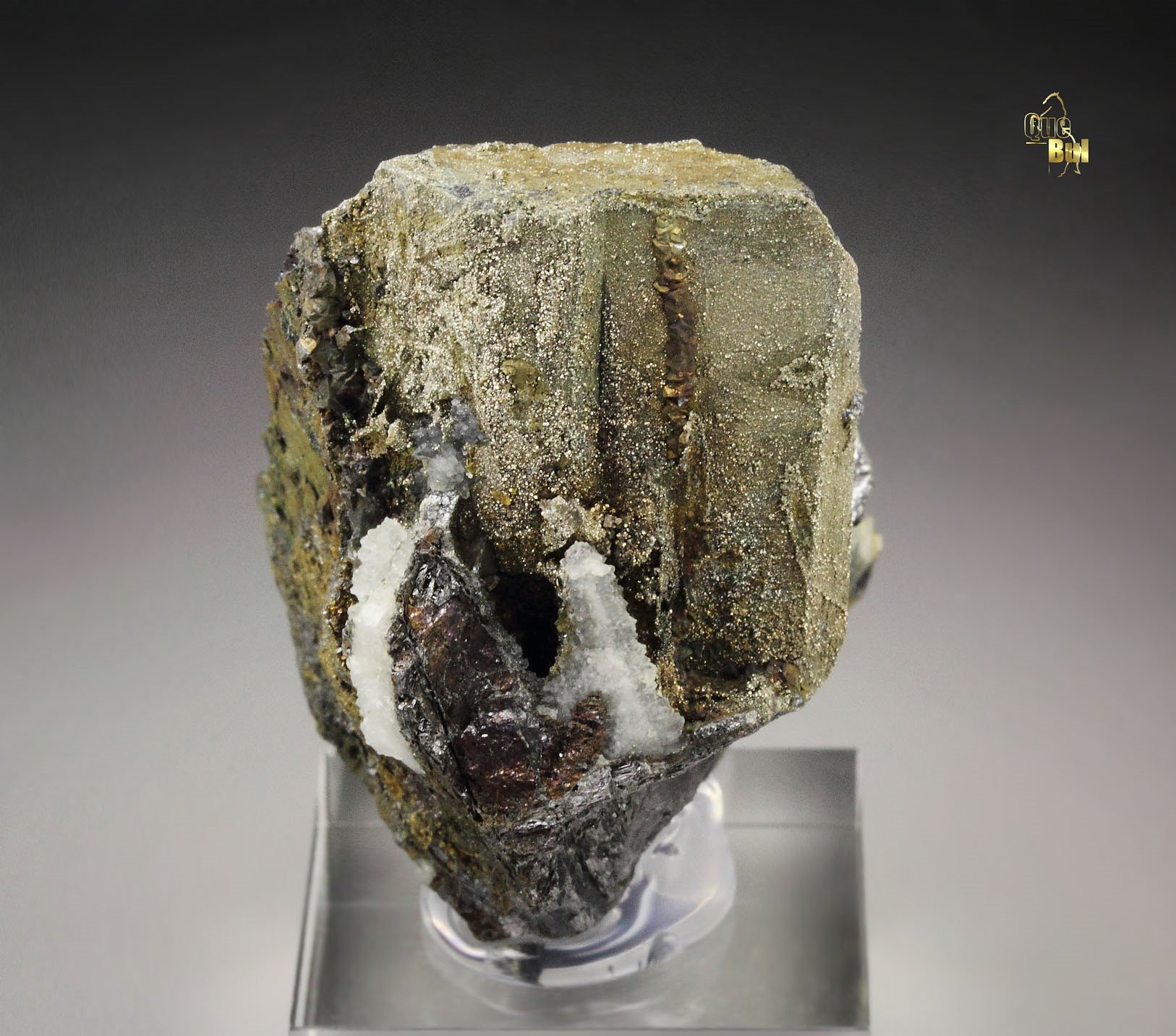 ENARGITE, CHALCOPYRITE, PYRITE, QUARTZ