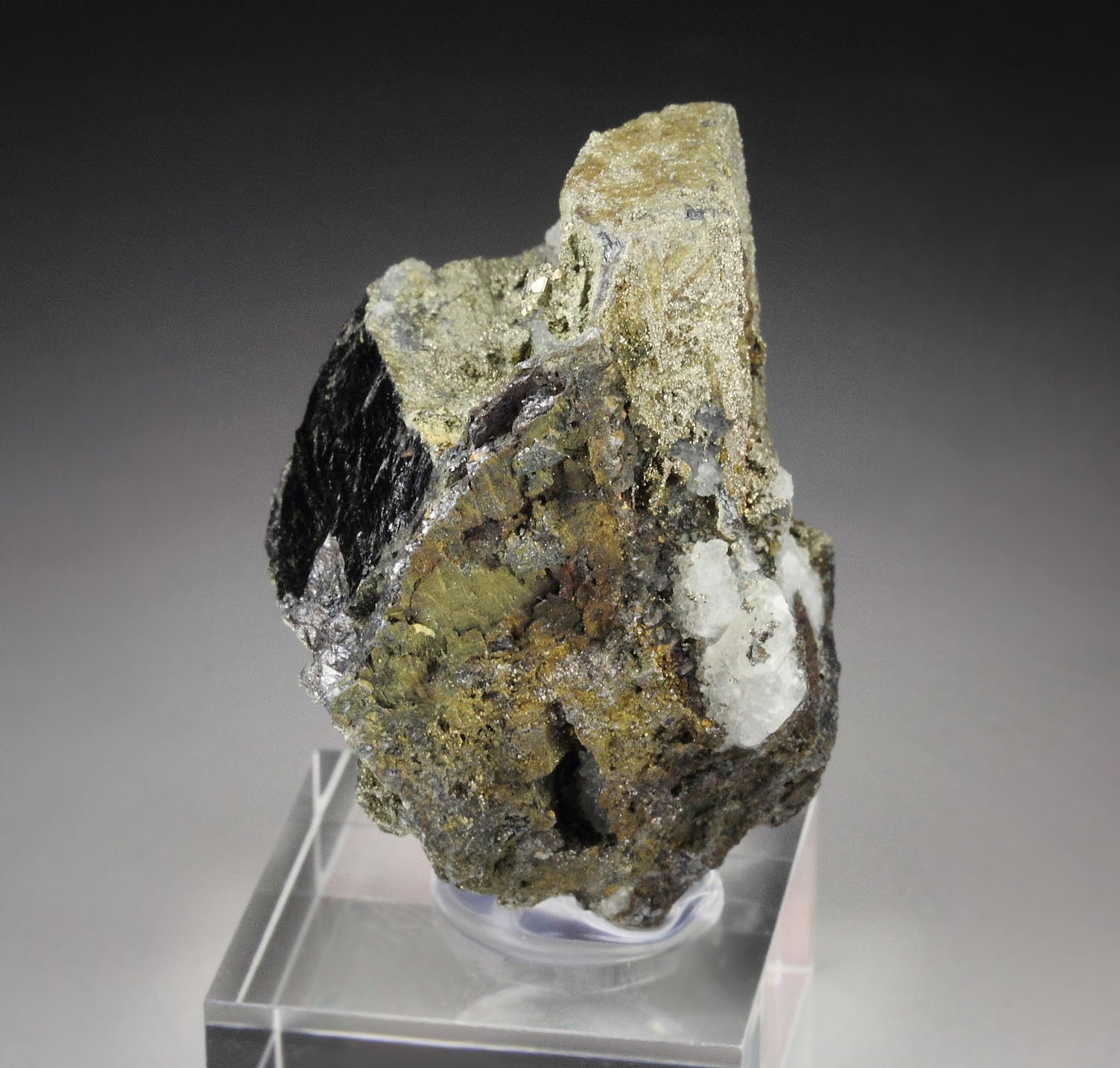 ENARGITE, CHALCOPYRITE, PYRITE, QUARTZ