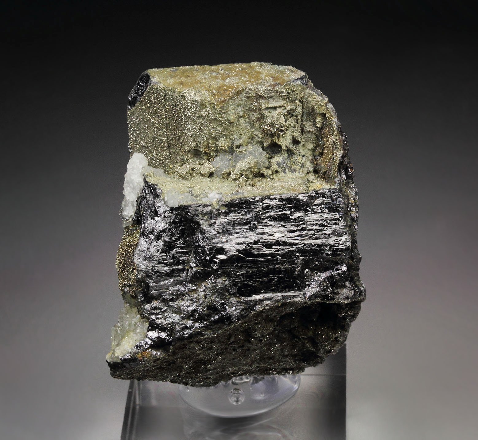 ENARGITE, CHALCOPYRITE, PYRITE, QUARTZ