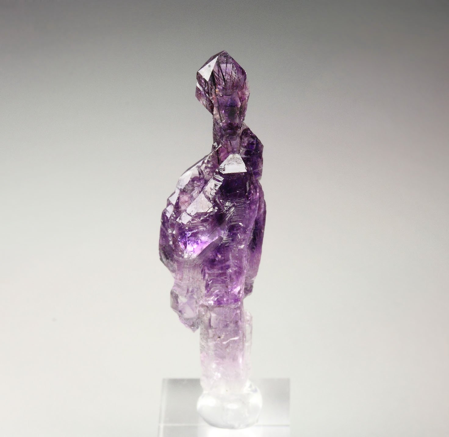 scepter QUARTZ var. AMETHYST