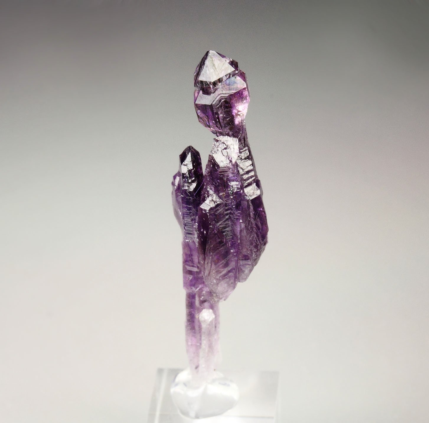 scepter QUARTZ var. AMETHYST