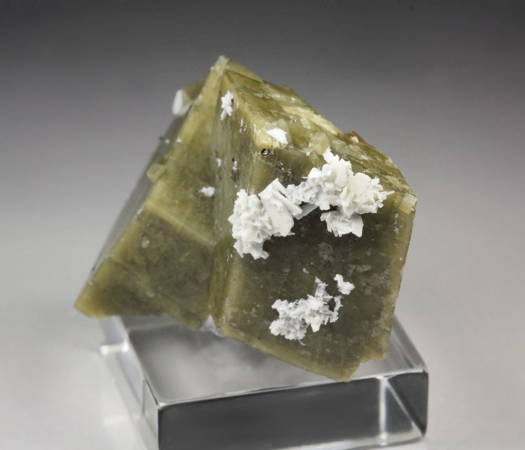 SIDERITE, gem ZIRCON, ALBITE