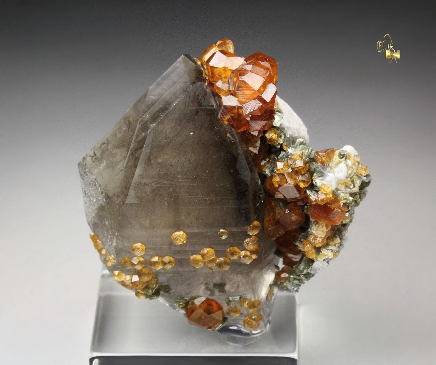 gem GARNET var. SPESSARTINE, QUARTZ var. SMOKY