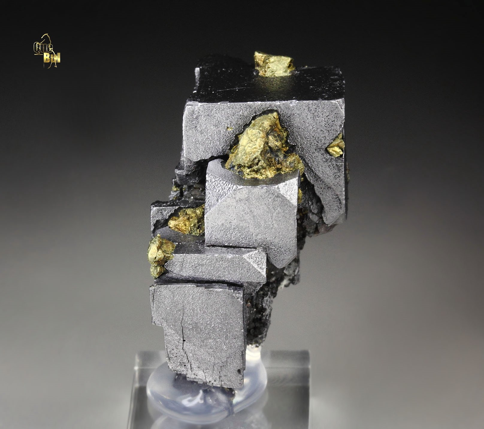 skeletal GALENA, CHALCOPYRITE