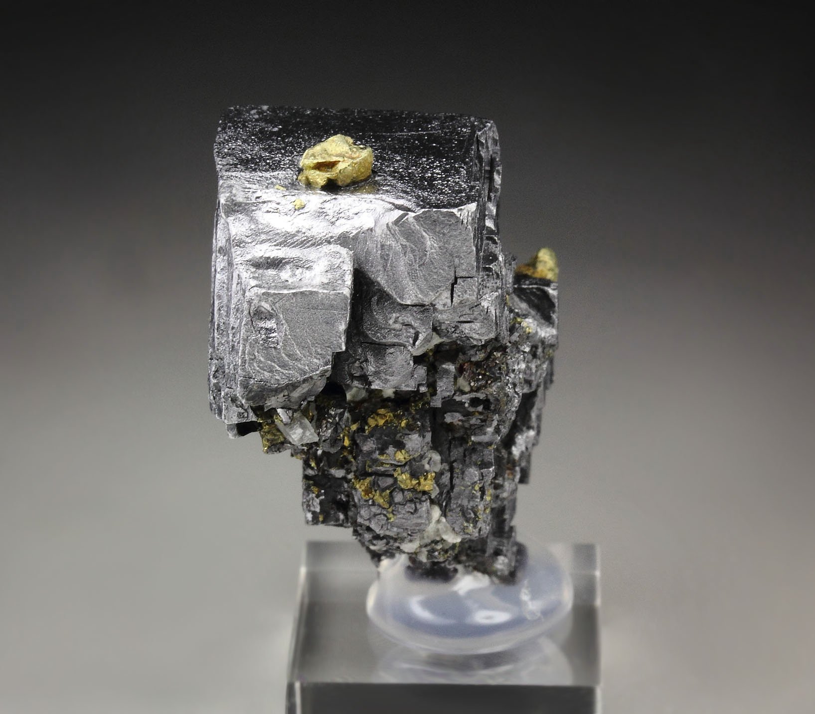 skeletal GALENA, CHALCOPYRITE