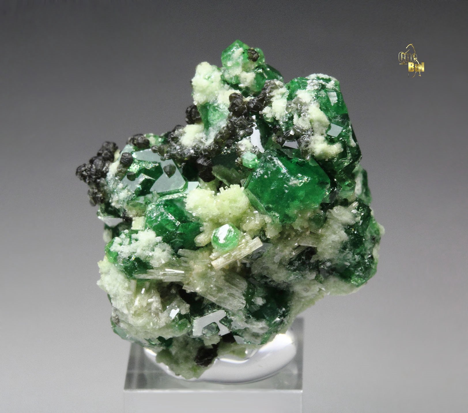 gem GARNET var. GROSSULAR var. CHROMIAN, DIOPSIDE, CLINOCHLORE