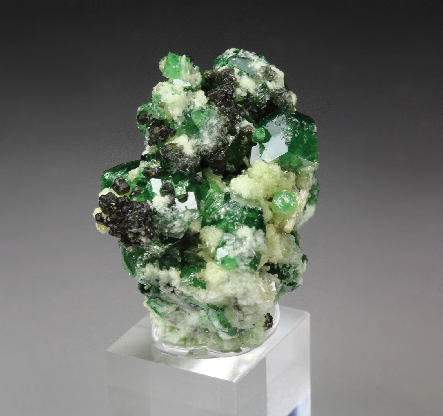 gem GARNET var. GROSSULAR var. CHROMIAN, DIOPSIDE, CLINOCHLORE