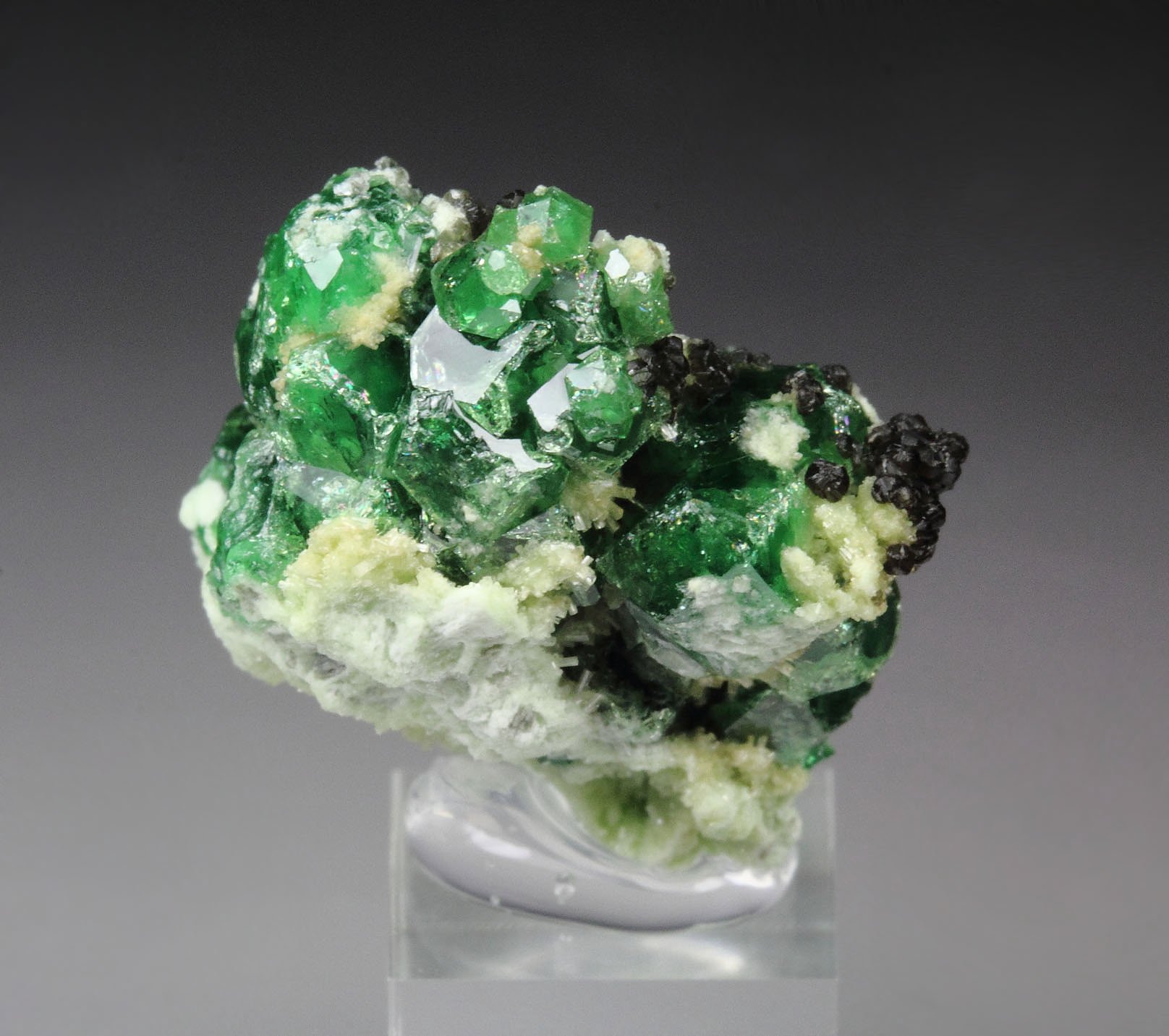 gem GARNET var. GROSSULAR var. CHROMIAN, DIOPSIDE, CLINOCHLORE