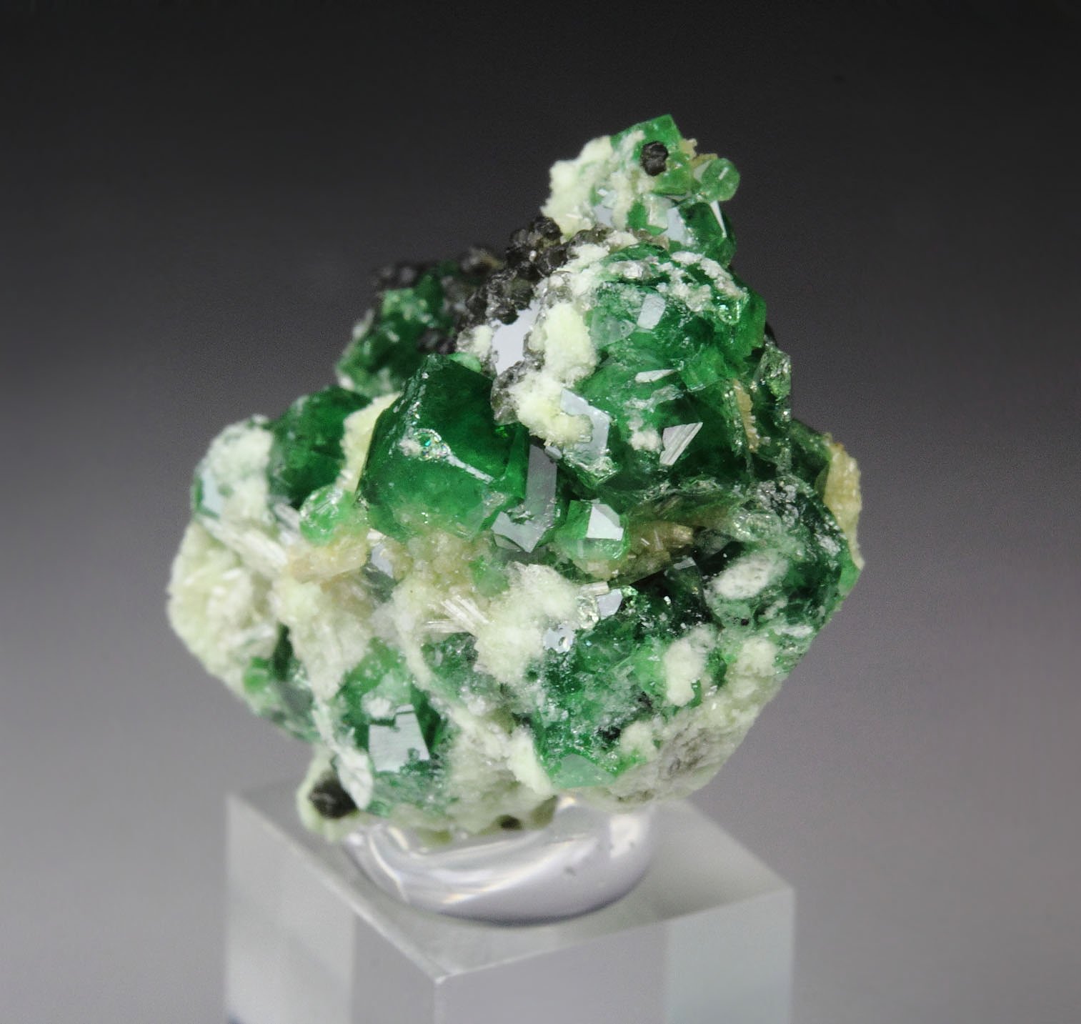 gem GARNET var. GROSSULAR var. CHROMIAN, DIOPSIDE, CLINOCHLORE