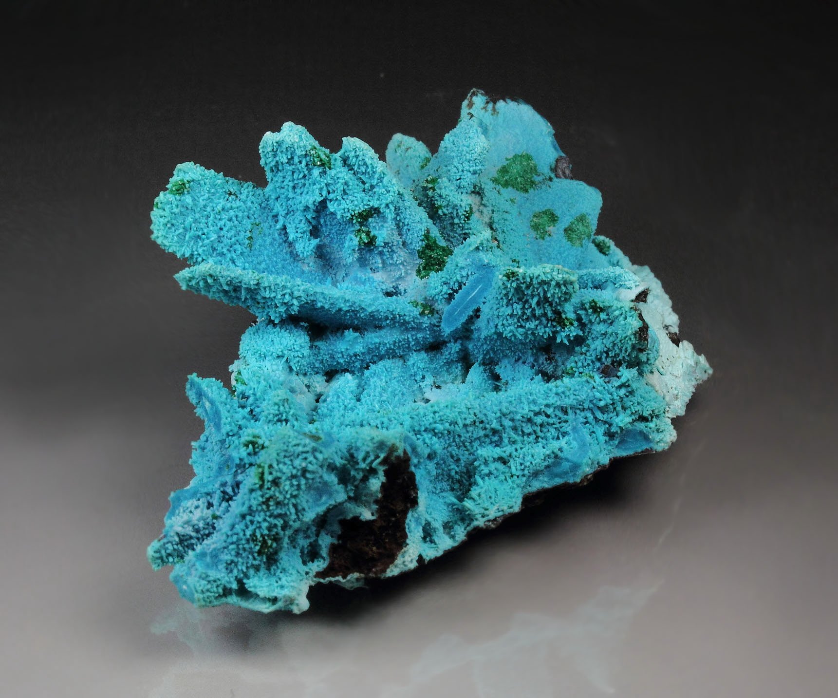 CHRYSOCOLLA pseudomorph after AZURITE, MALACHITE