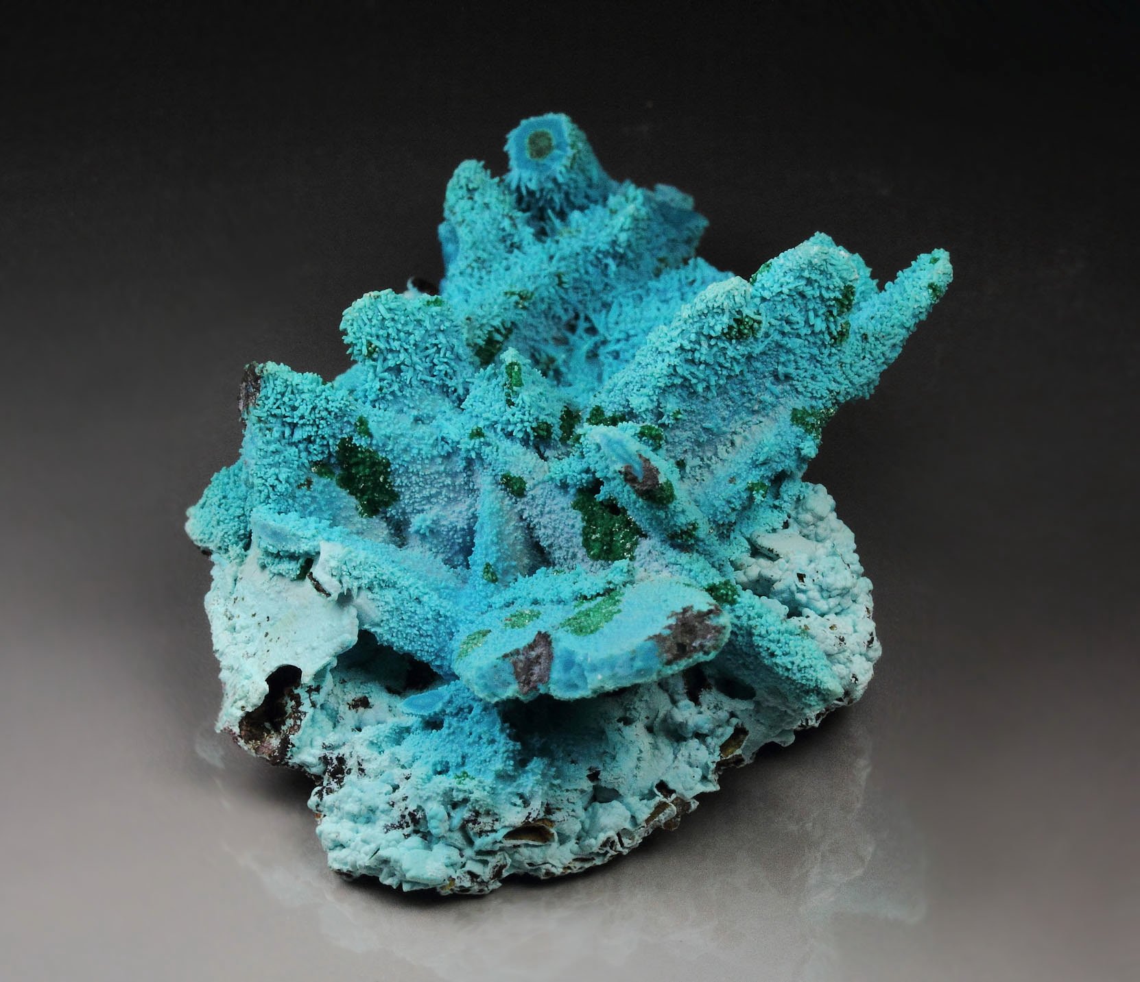 CHRYSOCOLLA pseudomorph after AZURITE, MALACHITE