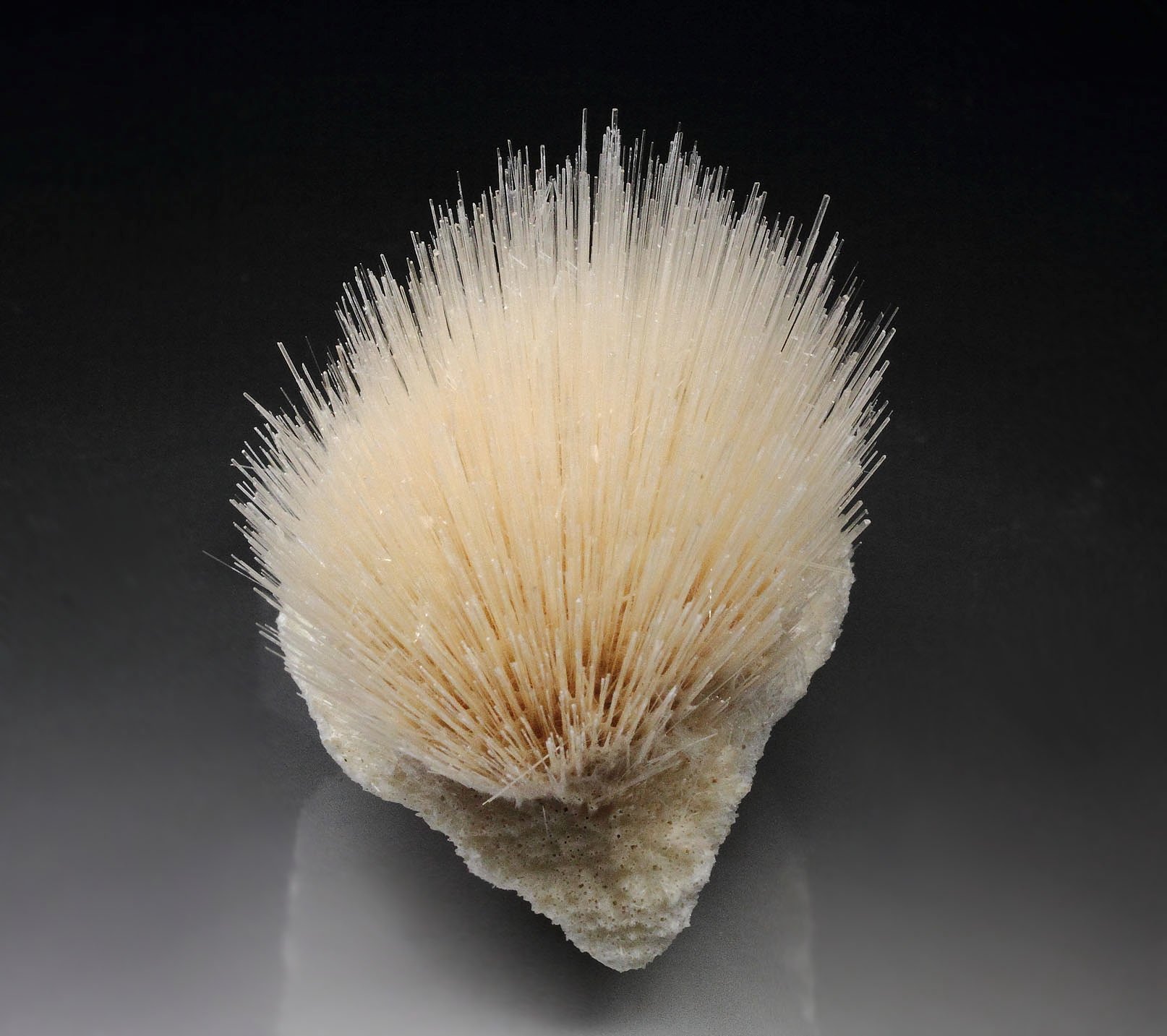 MESOLITE