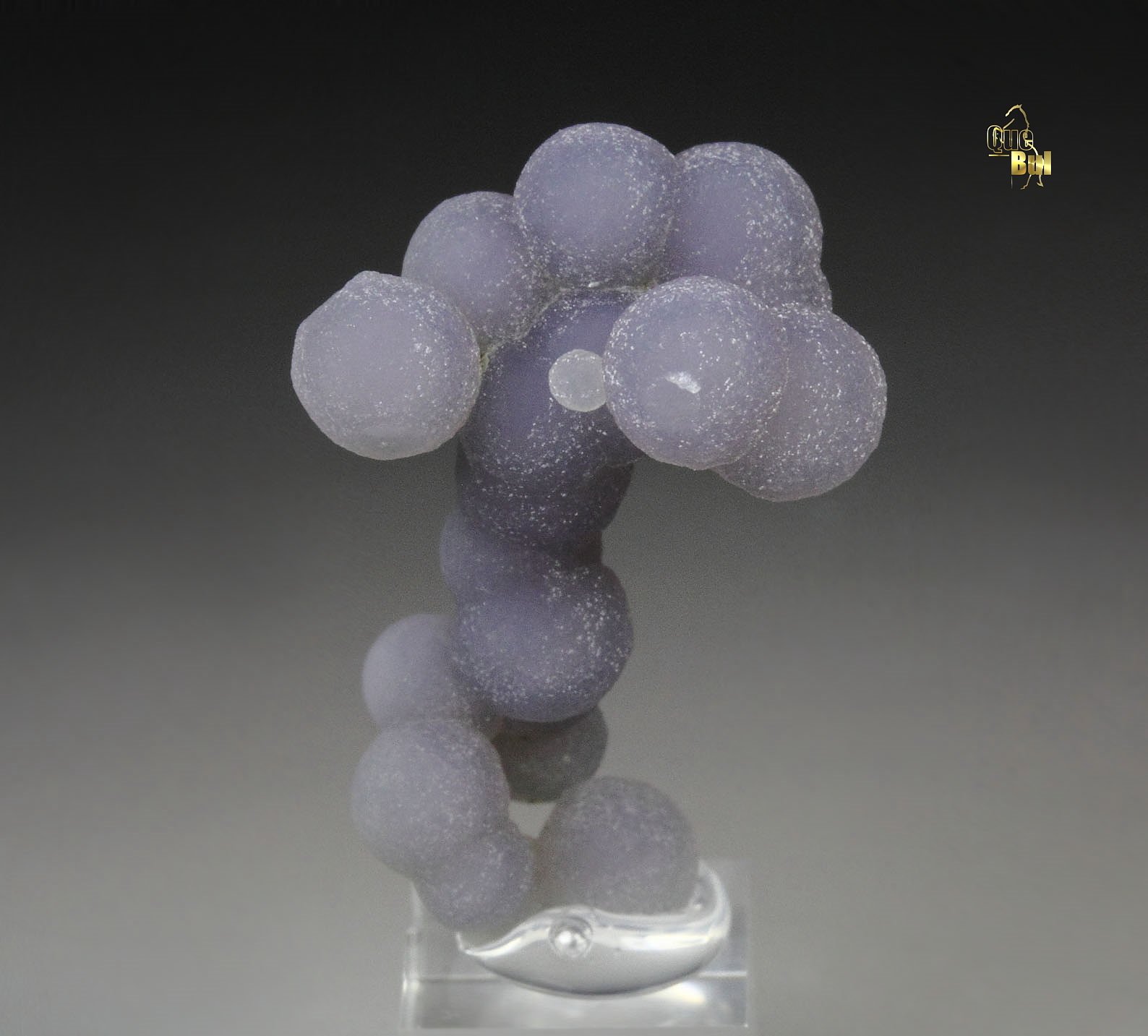 QUARTZ var. AMETHYST - grape agate