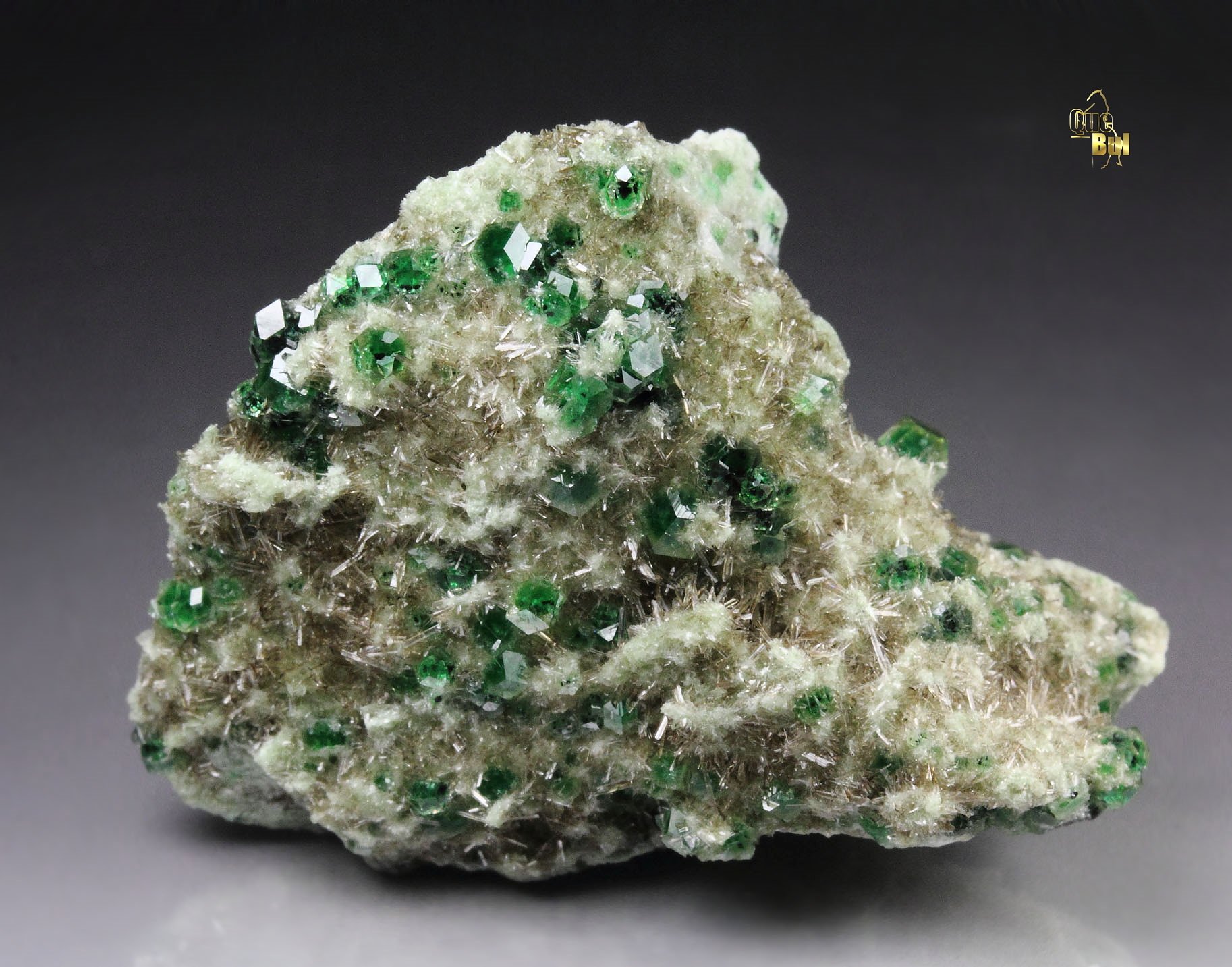 gem GARNET var. GROSSULAR with GREEN CHROMIAN PHANTOMS, DIOPSIDE, CHROMITE