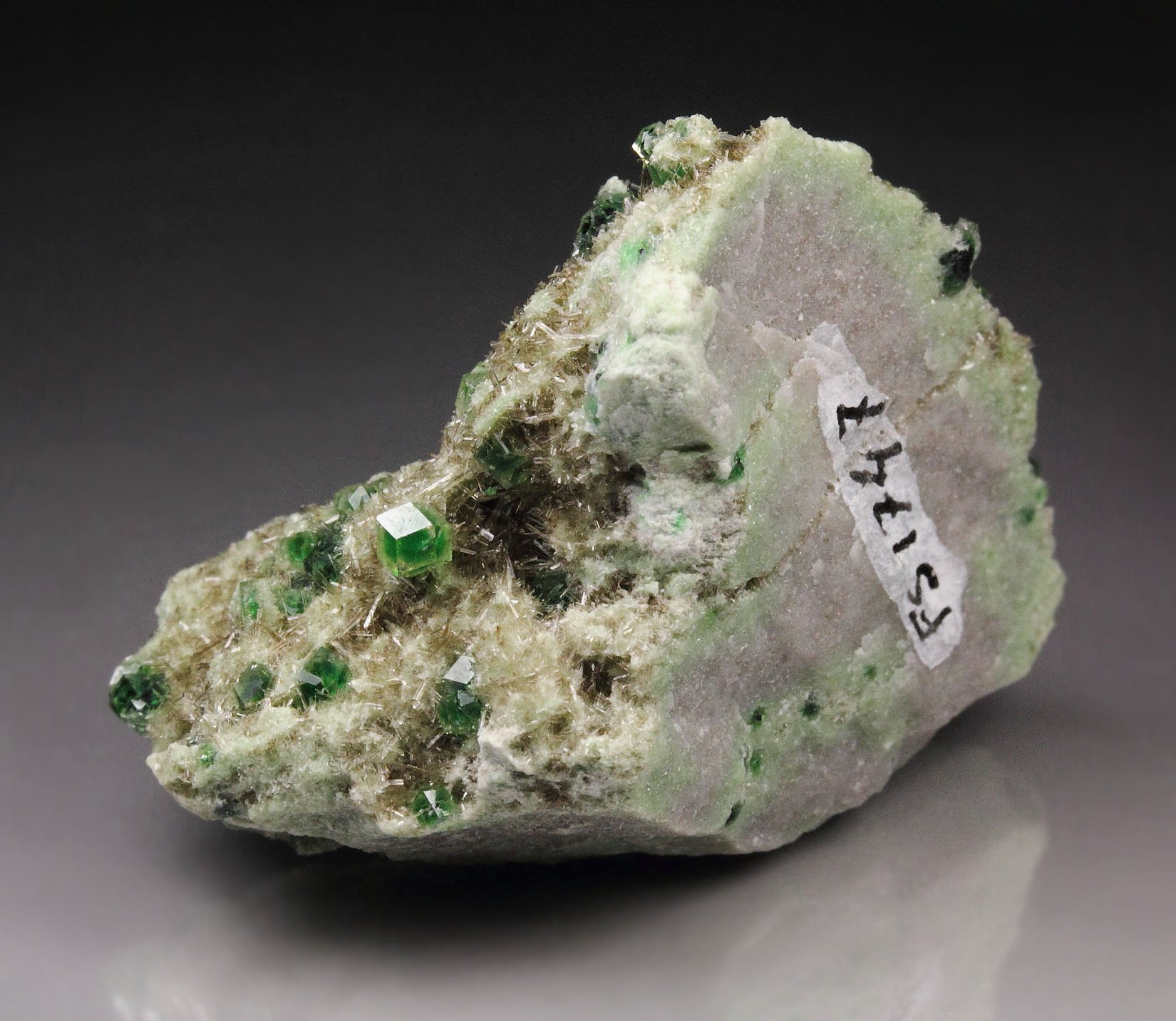 gem GARNET var. GROSSULAR with GREEN CHROMIAN PHANTOMS, DIOPSIDE, CHROMITE