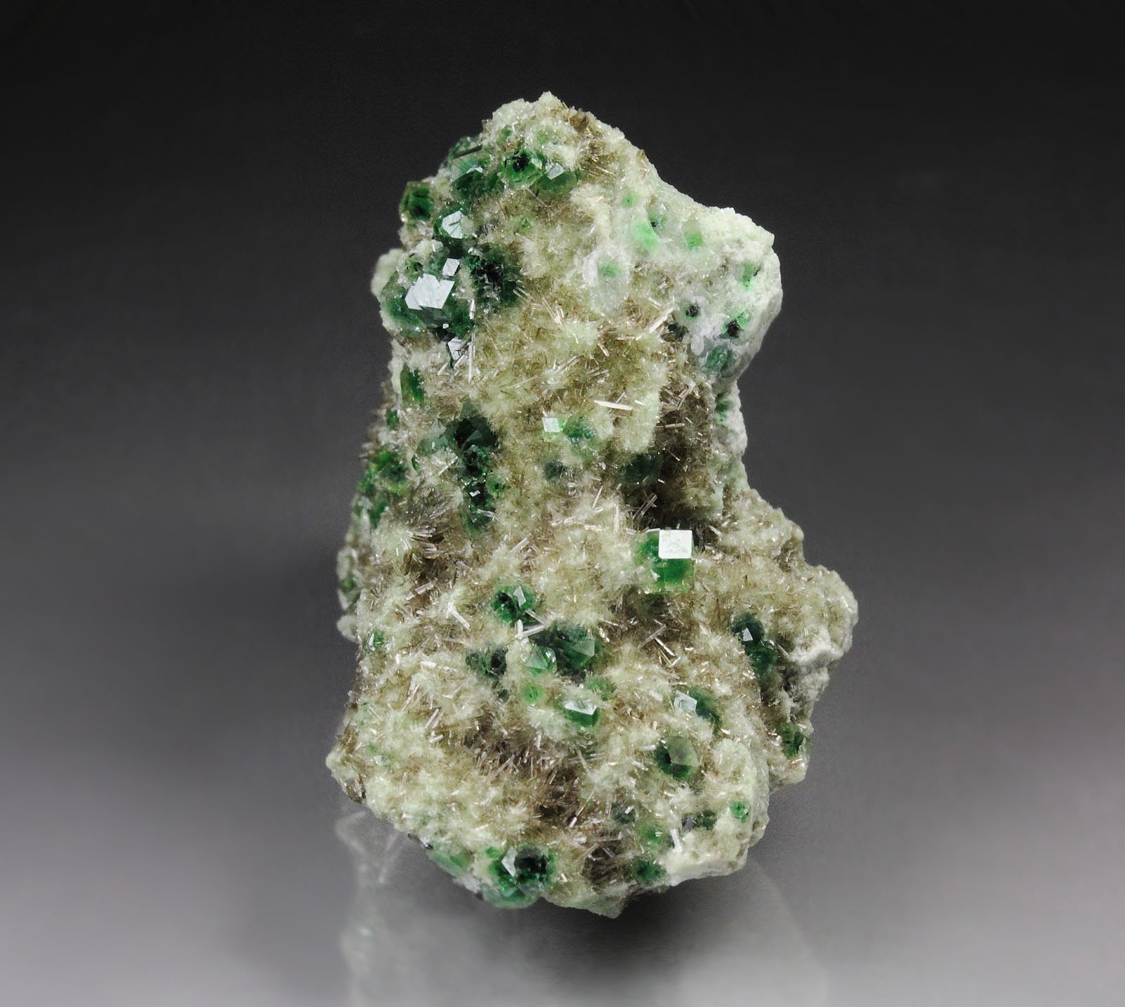 gem GARNET var. GROSSULAR with GREEN CHROMIAN PHANTOMS, DIOPSIDE, CHROMITE