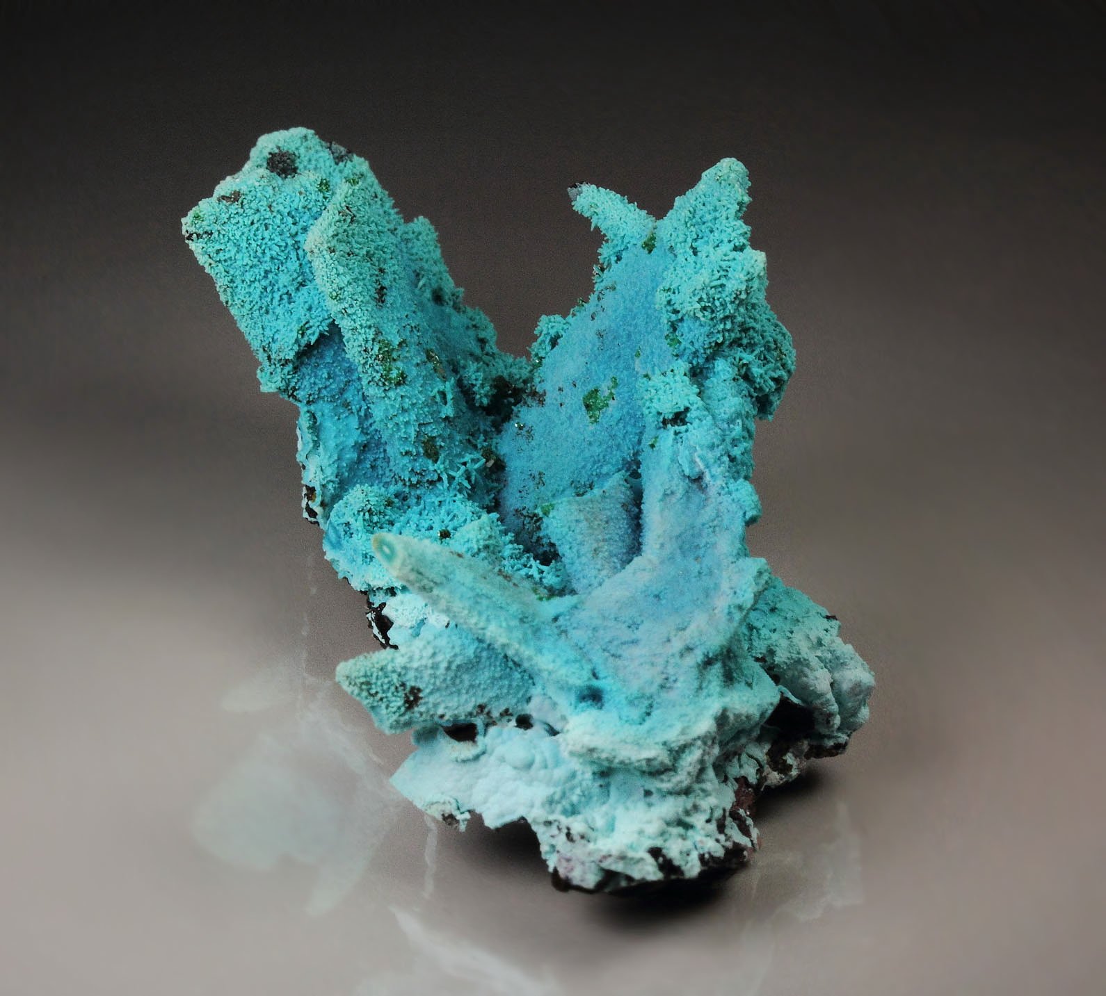 CHRYSOCOLLA pseudomorph after AZURITE, MALACHITE