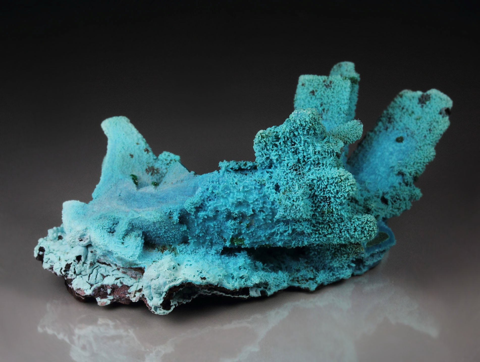 CHRYSOCOLLA pseudomorph after AZURITE, MALACHITE