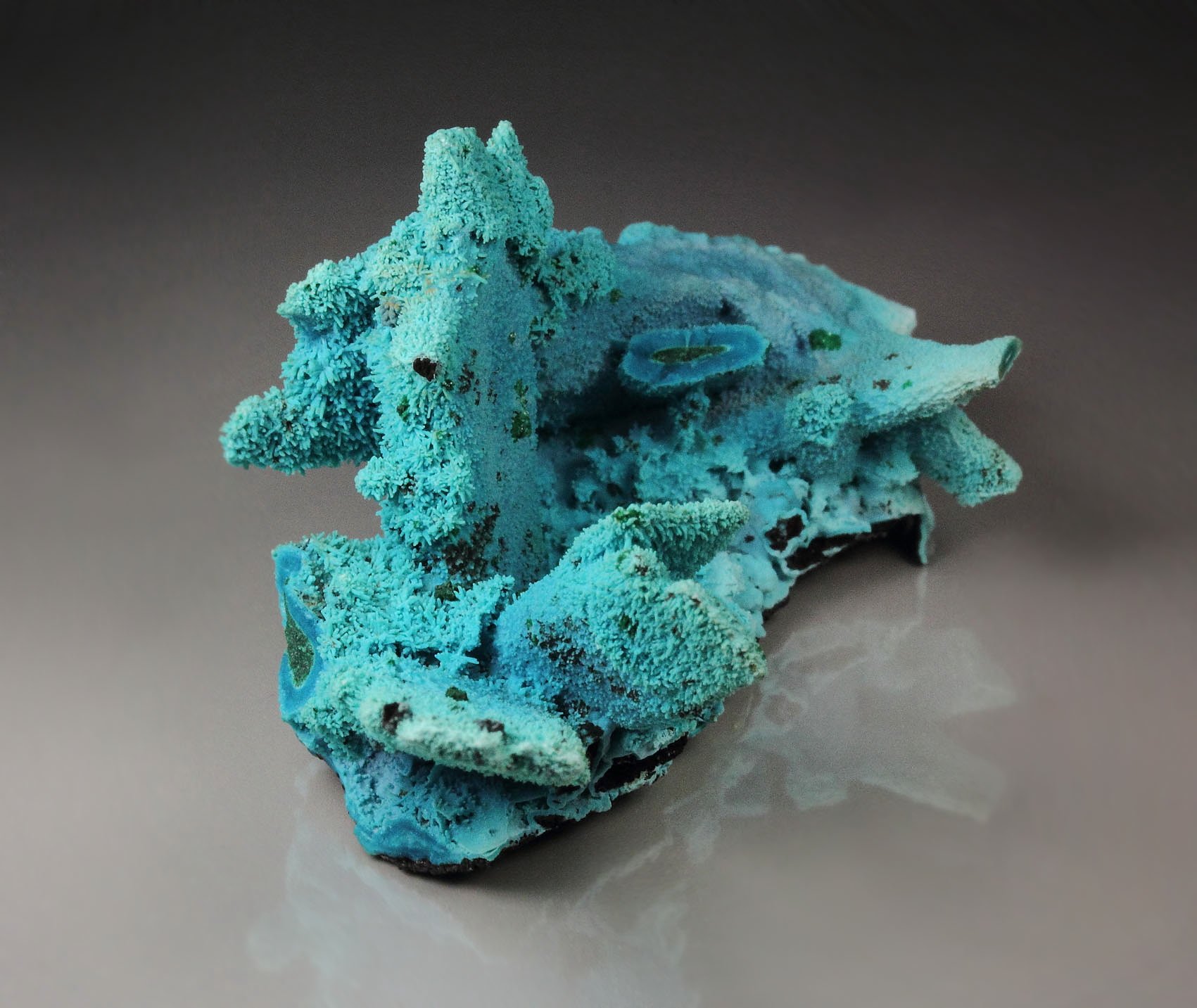 CHRYSOCOLLA pseudomorph after AZURITE, MALACHITE