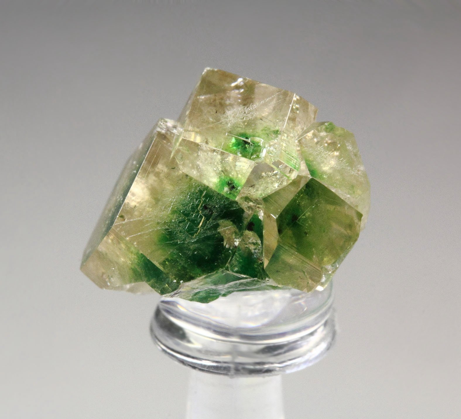 gem GARNET var. GROSSULAR with GREEN CHROMIAN PHANTOMS