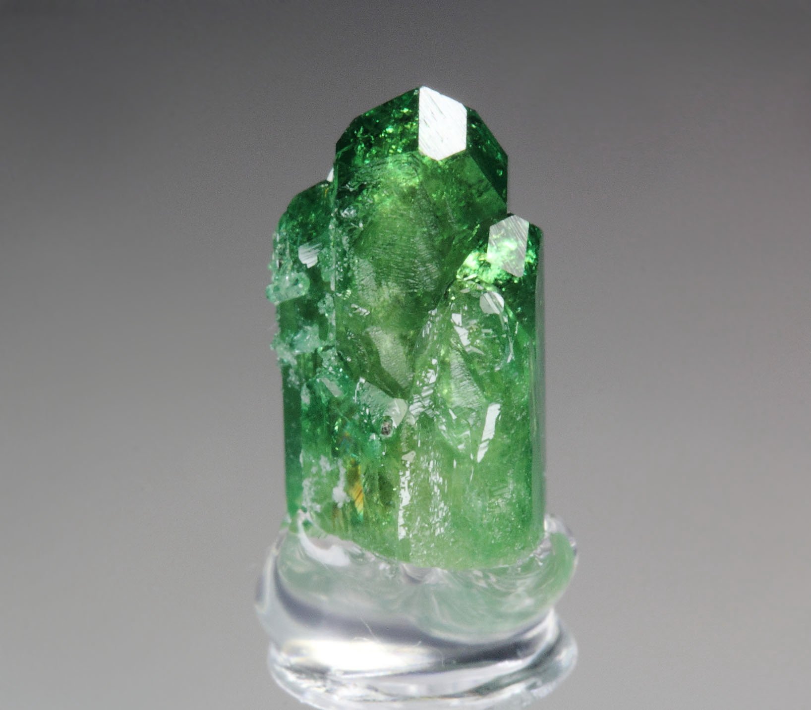 gemmy VESUVIANITE var. CHROMIAN