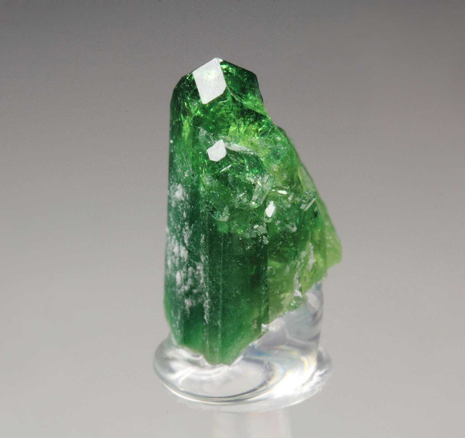 gemmy VESUVIANITE var. CHROMIAN