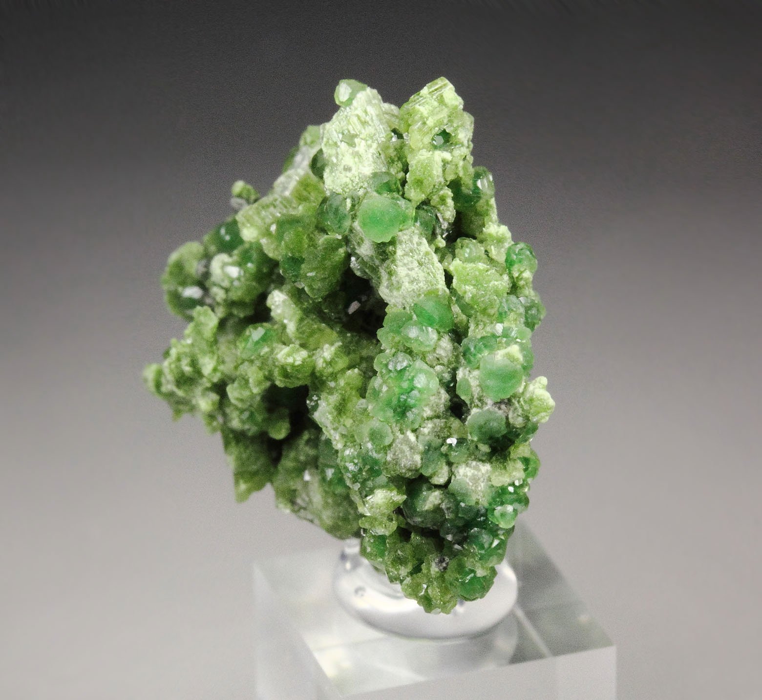 gem GARNET var. GROSSULAR with GREEN CHROMIAN PHANTOMS, DIOPSIDE, CLINOCHLORE