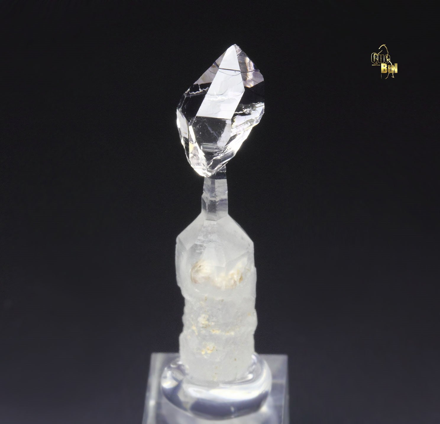 scepter QUARTZ