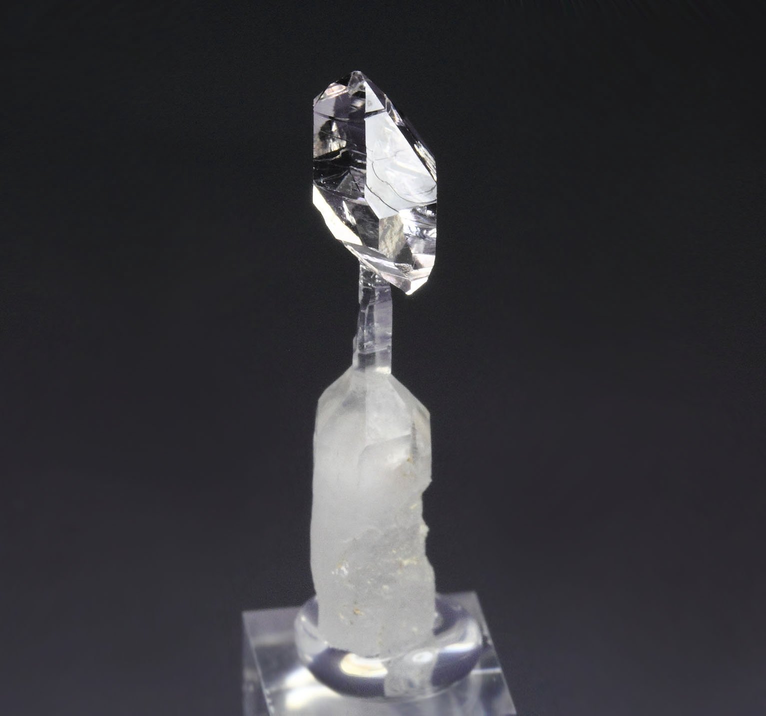 scepter QUARTZ