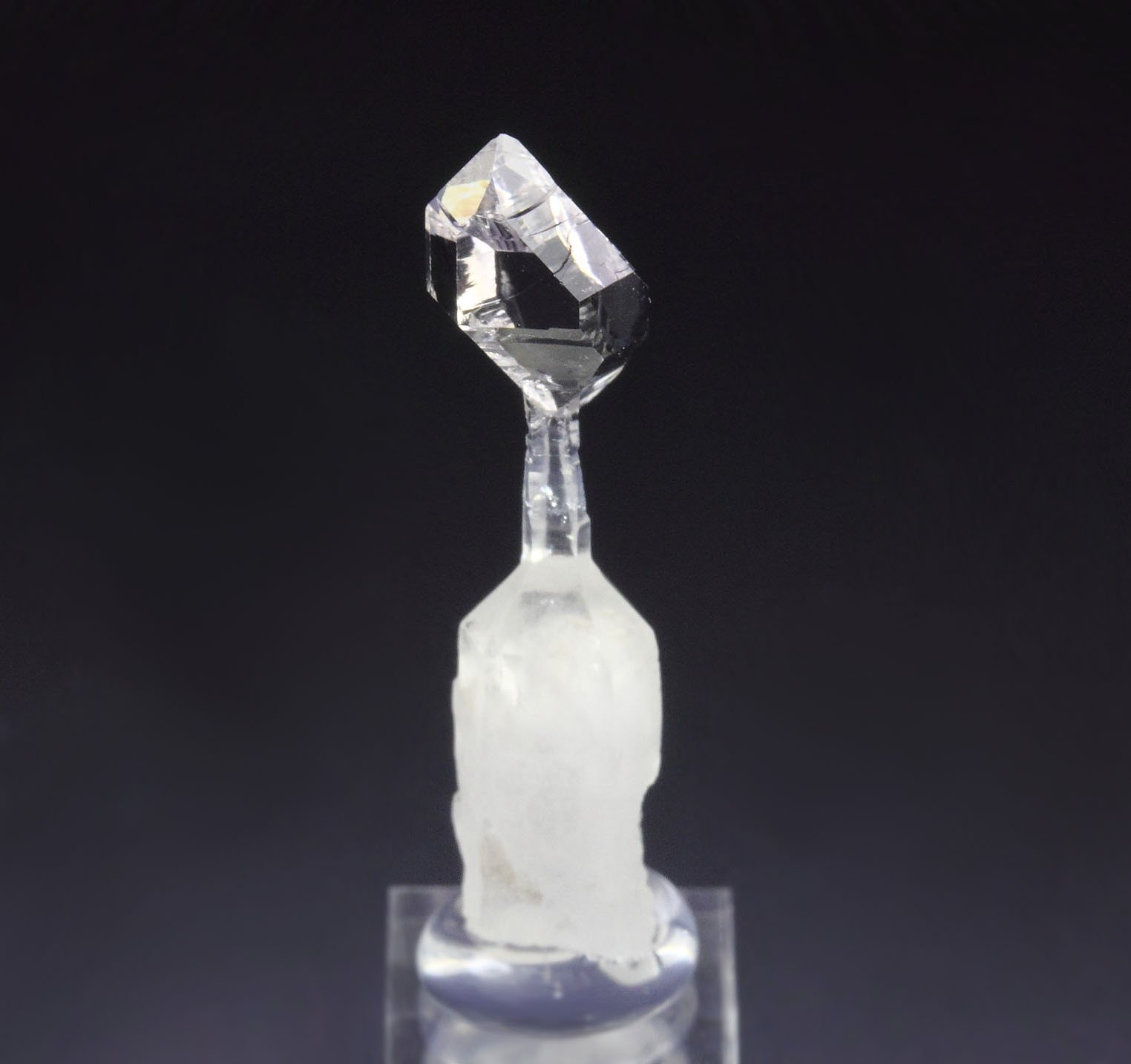 scepter QUARTZ