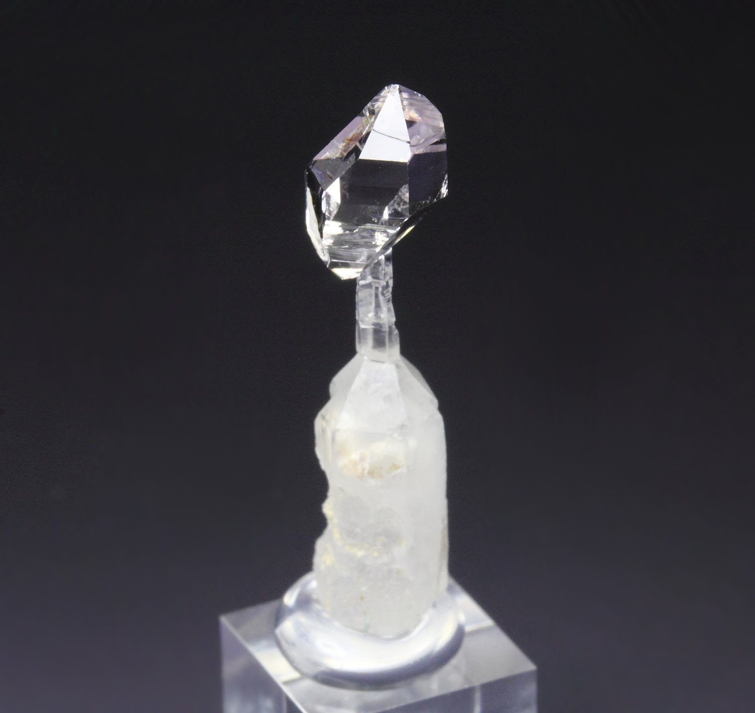 scepter QUARTZ