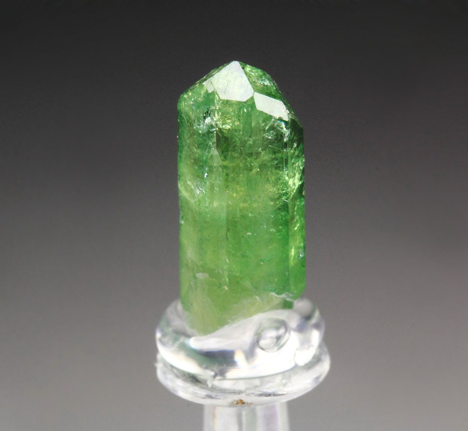 gemmy VESUVIANITE