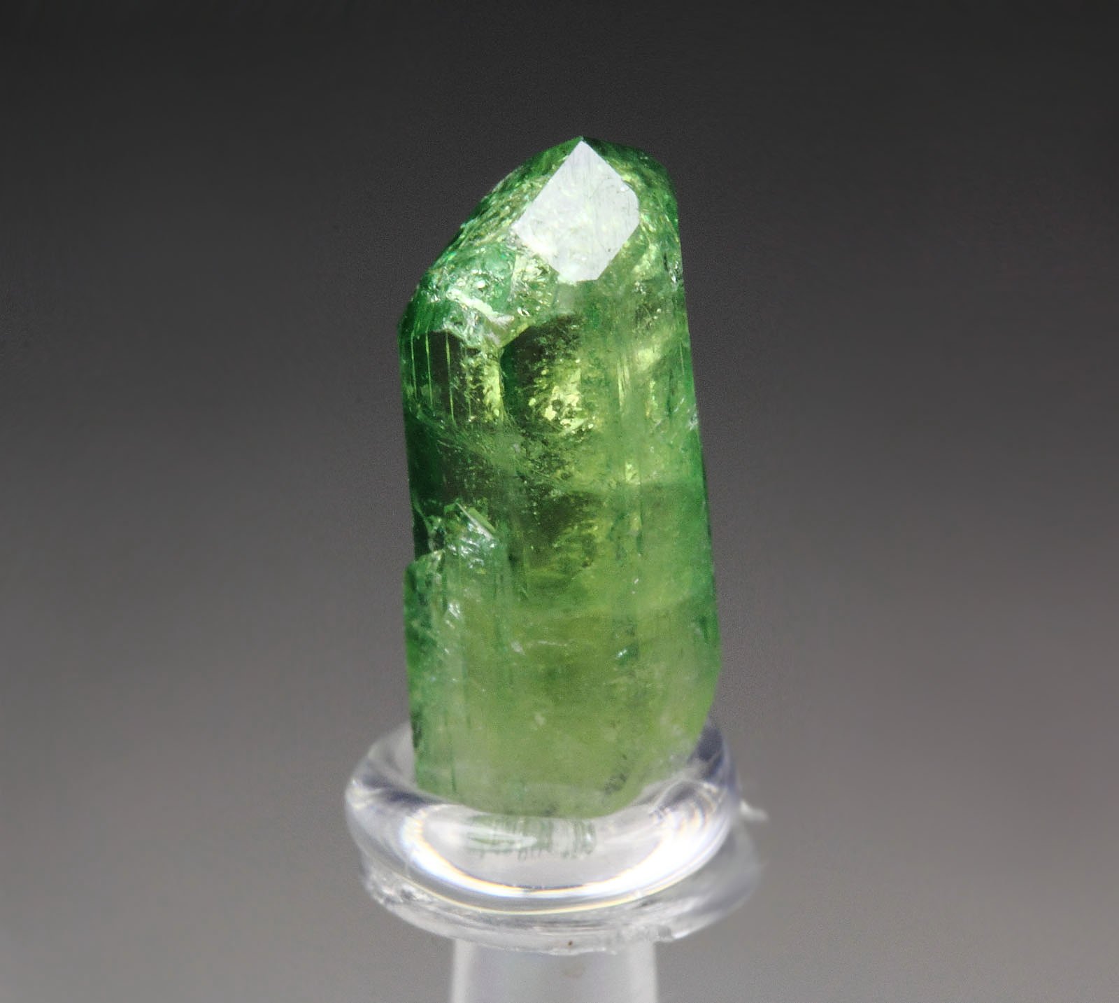 gemmy VESUVIANITE