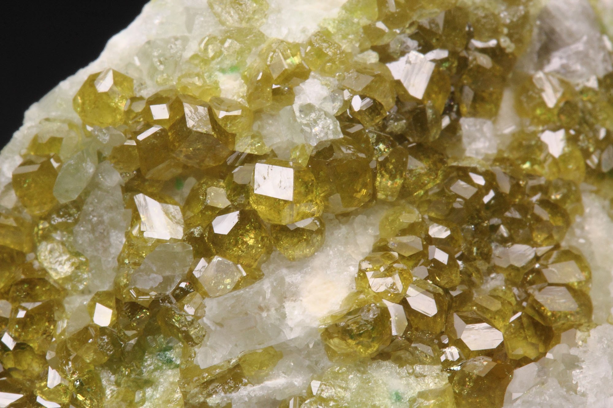 gem GARNET var. ANDRADITE var. TOPAZOLITE