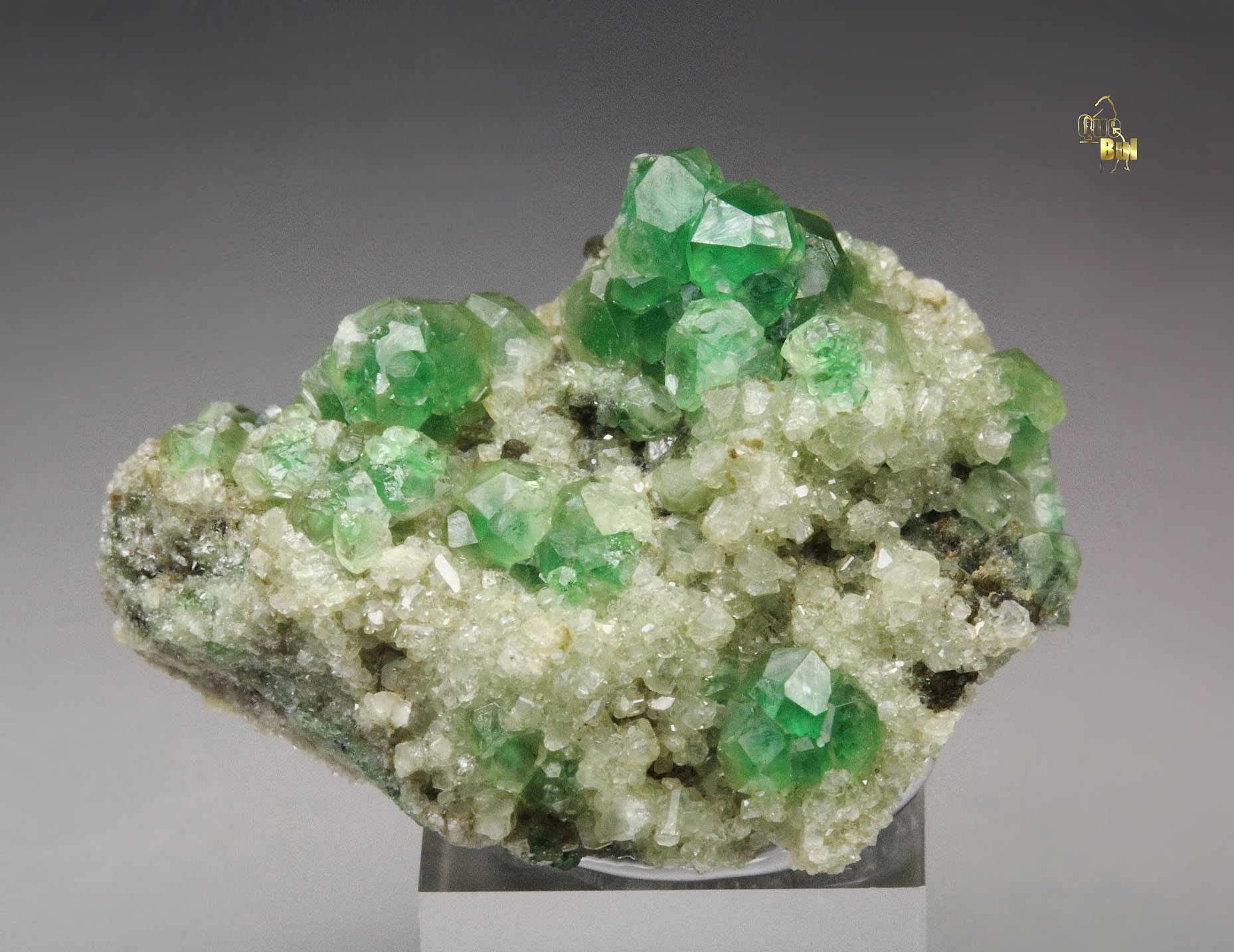 gem GARNET var. GROSSULAR with GREEN CHROMIAN PHANTOMS