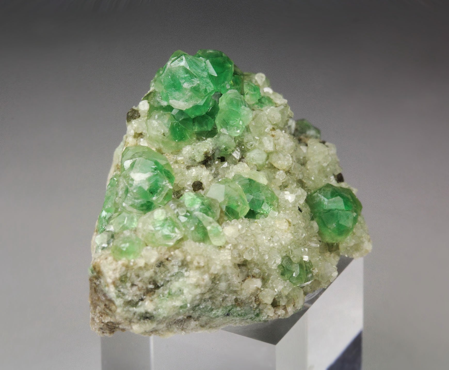 gem GARNET var. GROSSULAR with GREEN CHROMIAN PHANTOMS