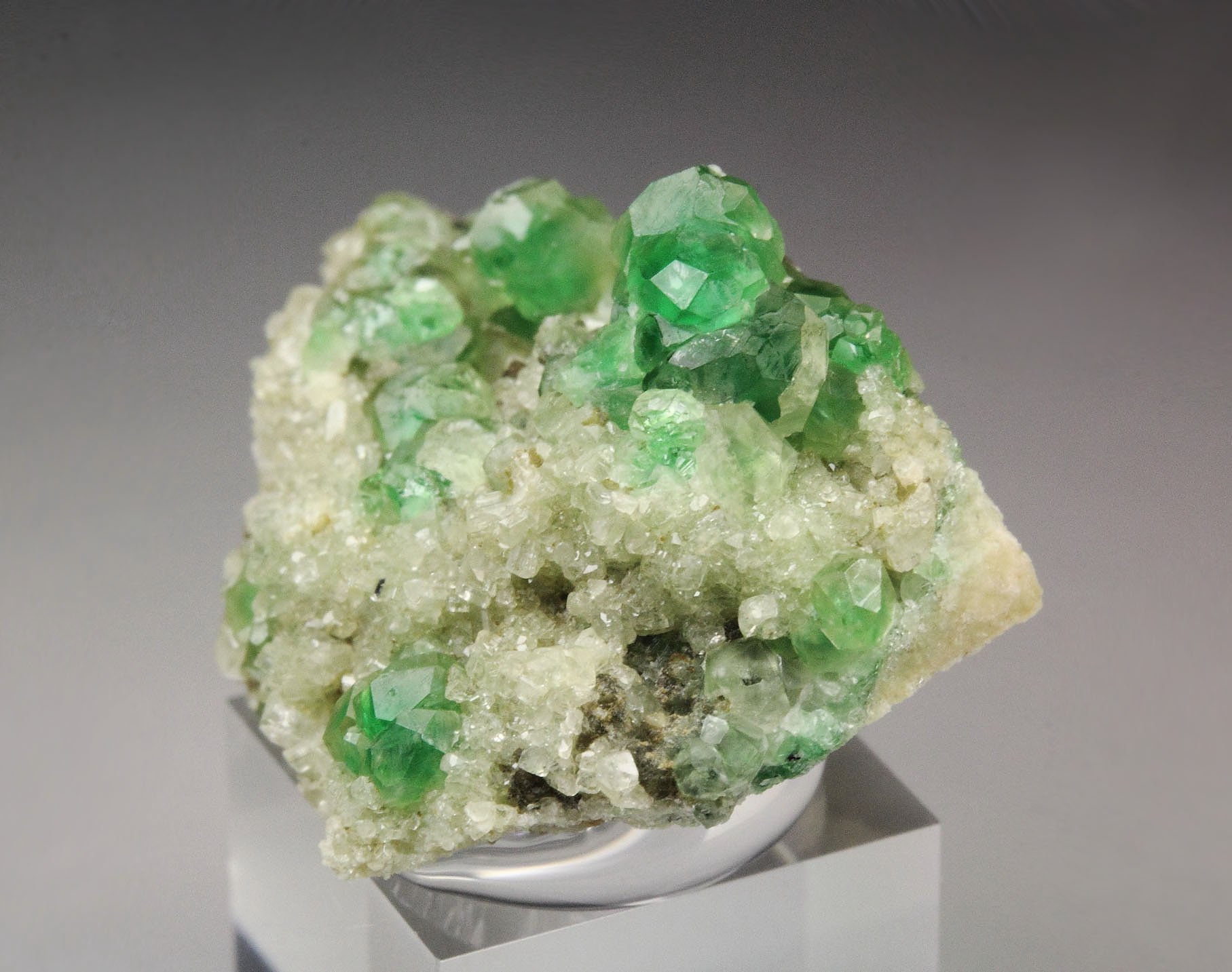 gem GARNET var. GROSSULAR with GREEN CHROMIAN PHANTOMS