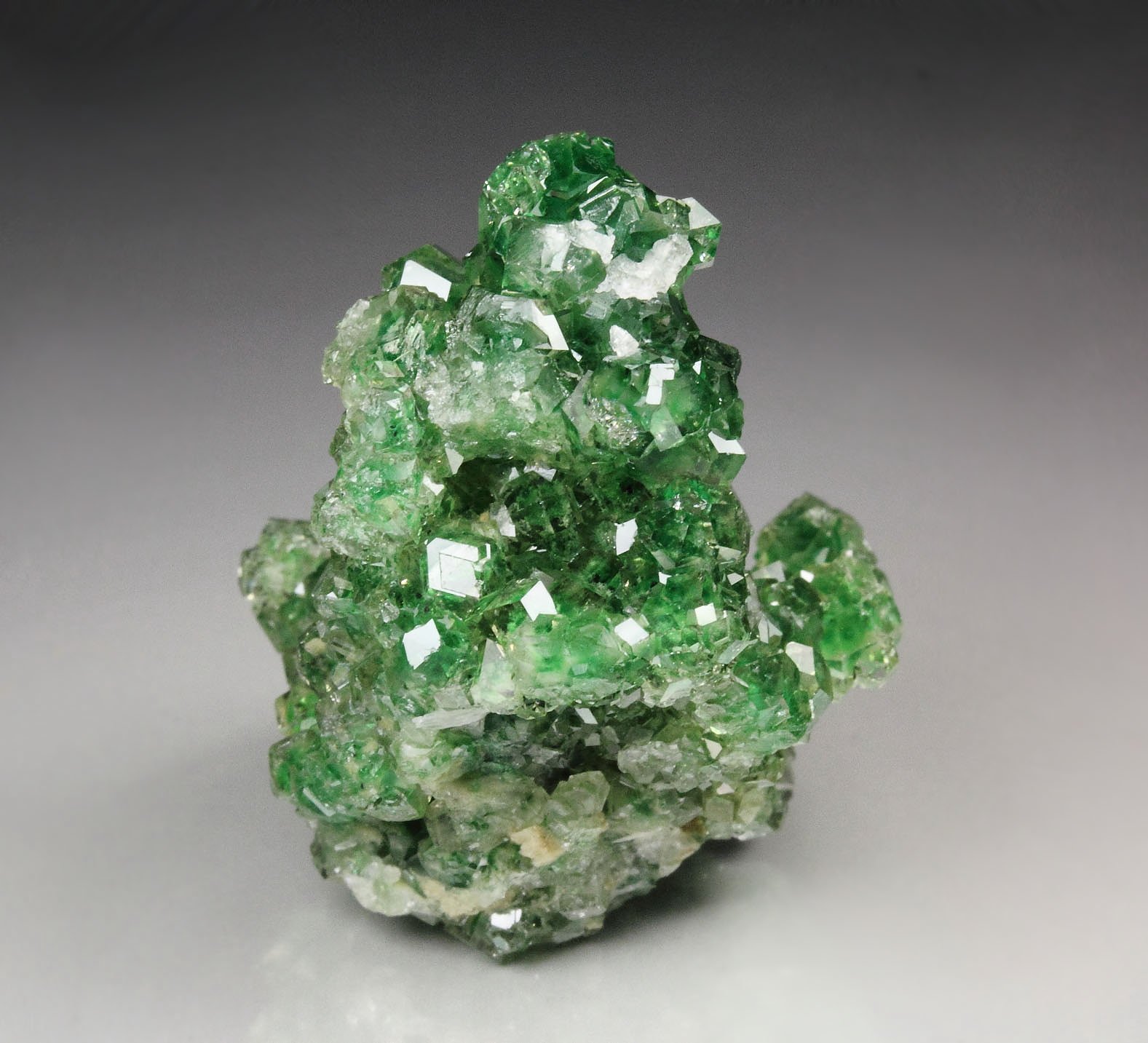 gem GARNET var. GROSSULAR with GREEN CHROMIAN PHANTOMS, CHROMITE