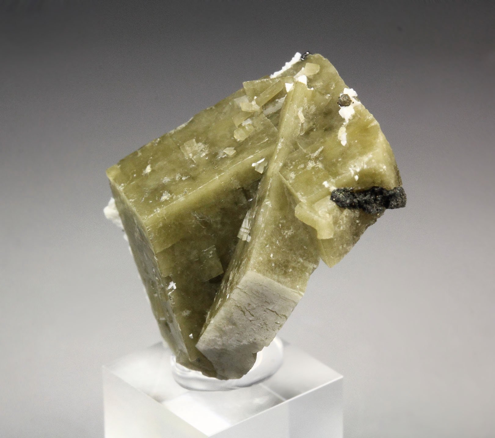 SIDERITE, ALBITE