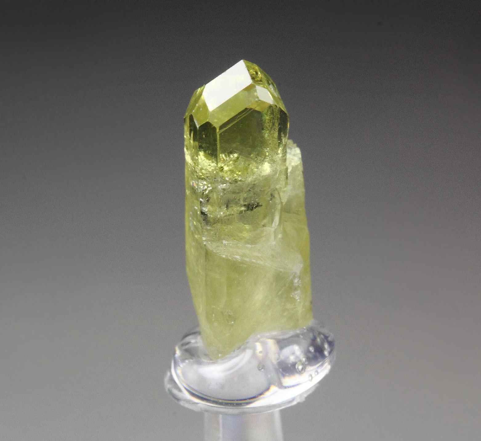 gem VESUVIANITE