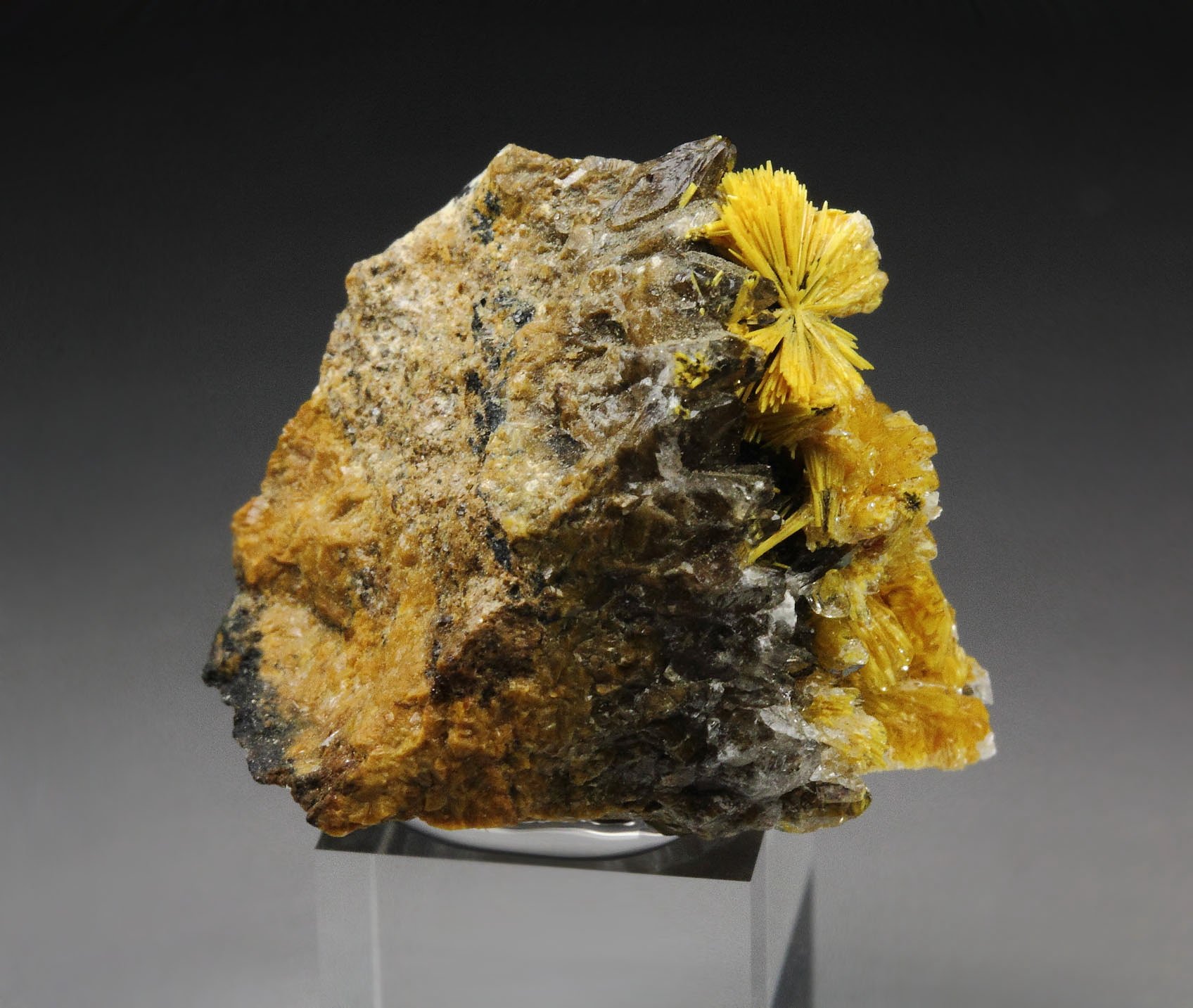 BOLTWOODITE