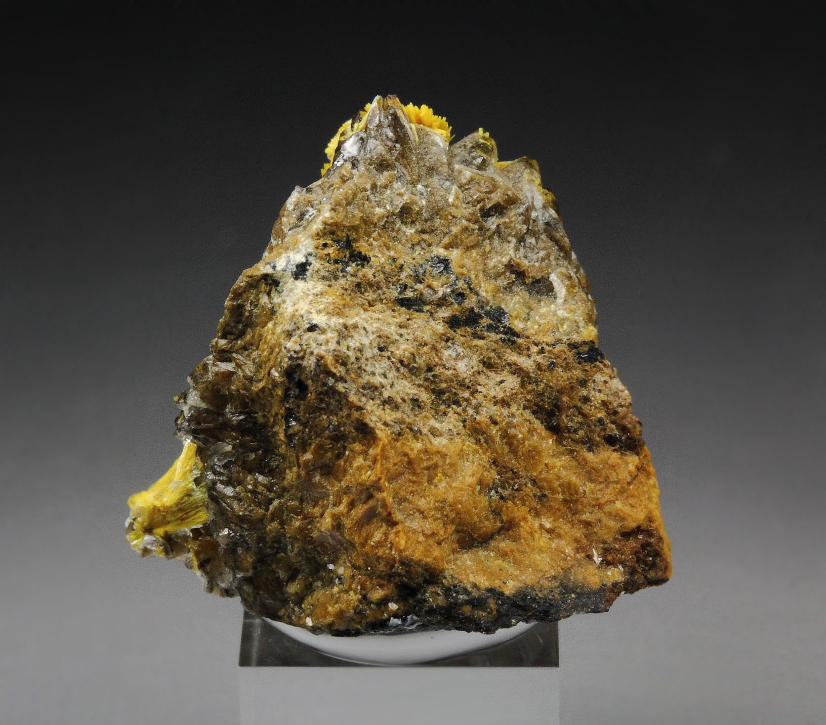 BOLTWOODITE