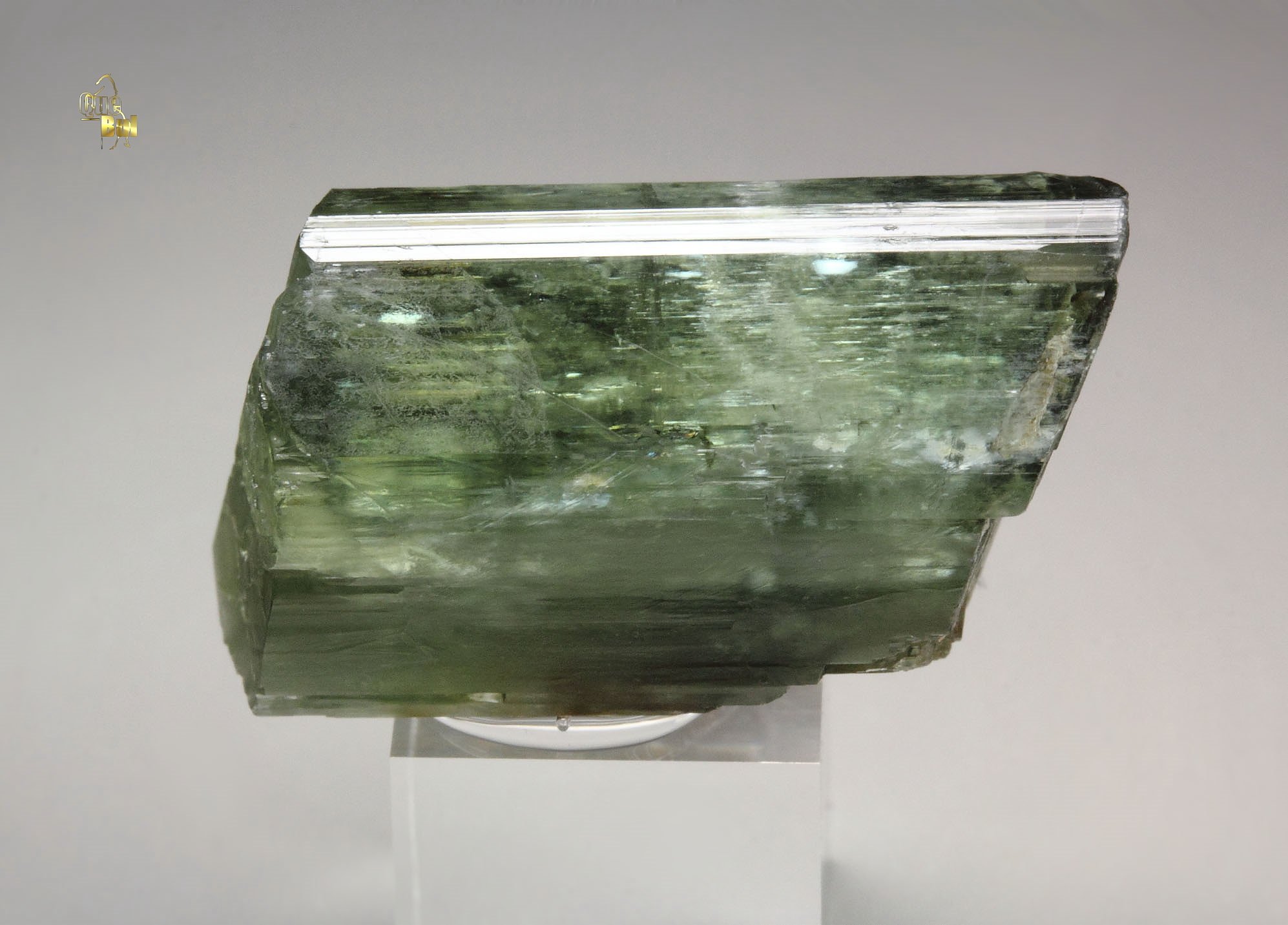 gemmy TREMOLITE bi-terminated